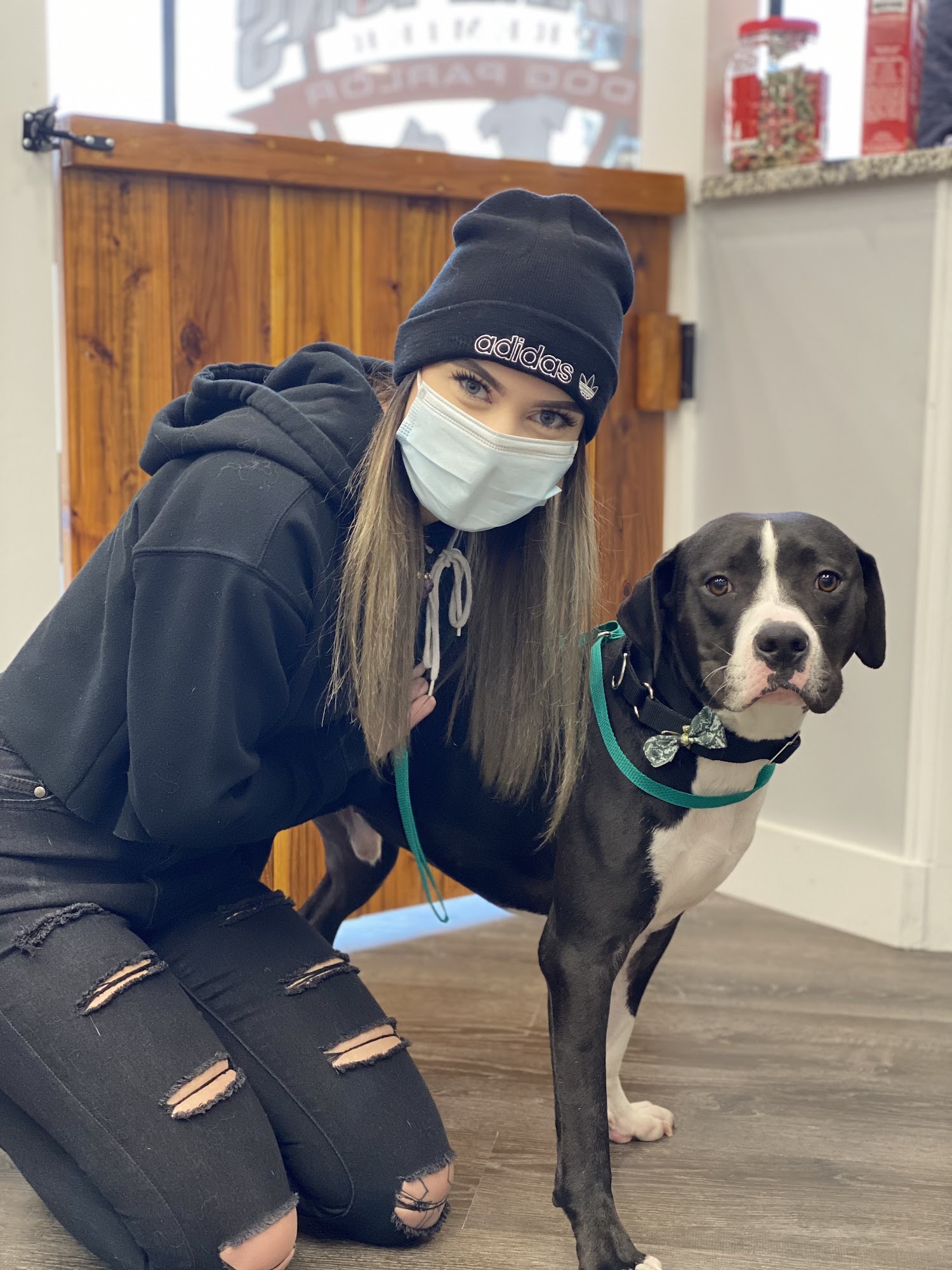 Champions Premier Dog Parlor West Chester