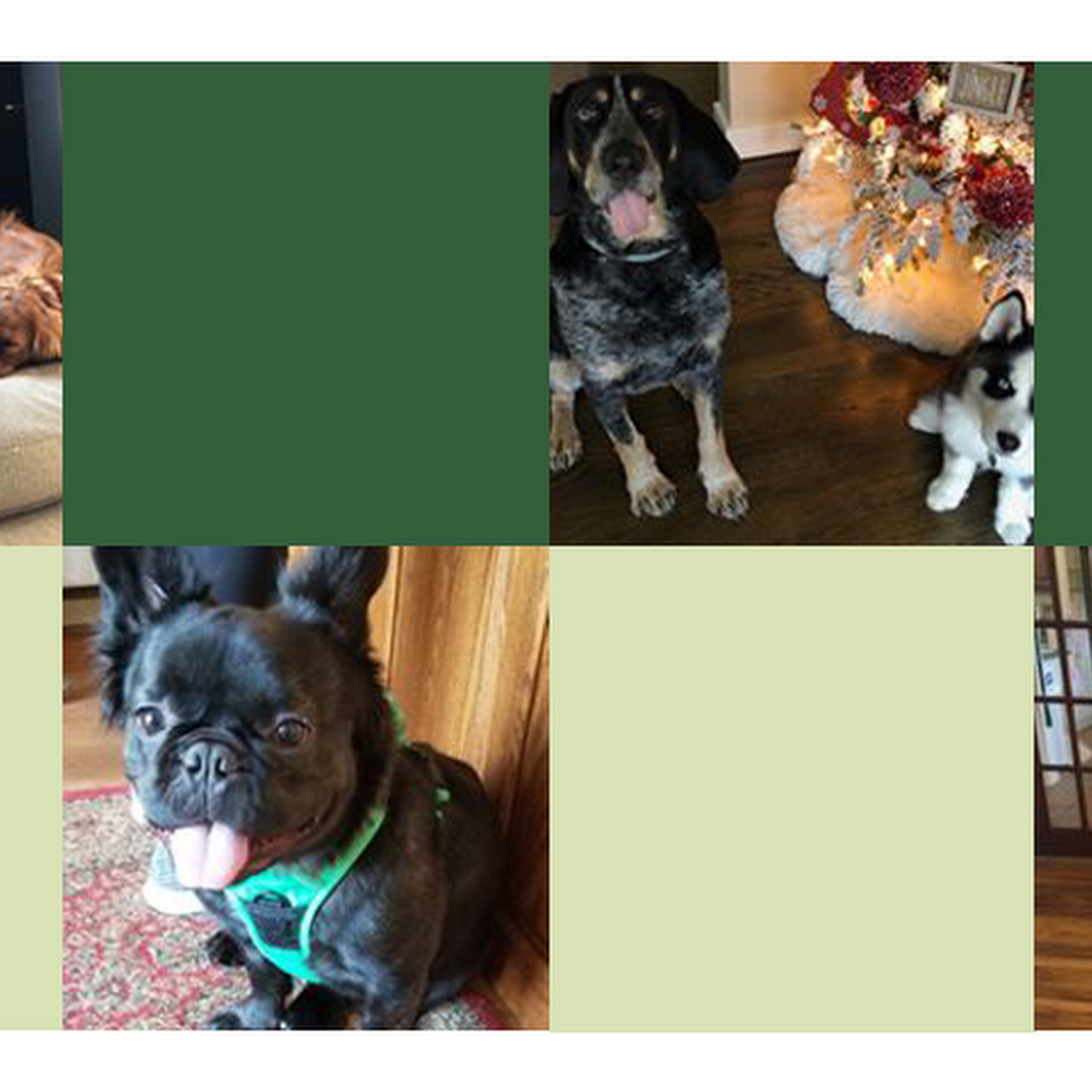 Pine Village Veterinarian Wexford