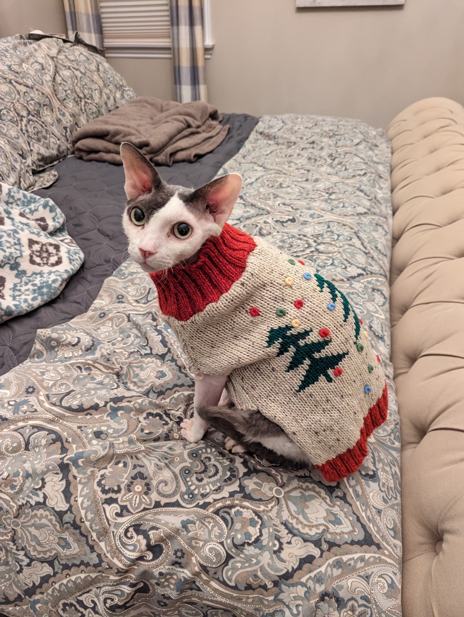 Bradford Hills Veterinary Hospital Wexford