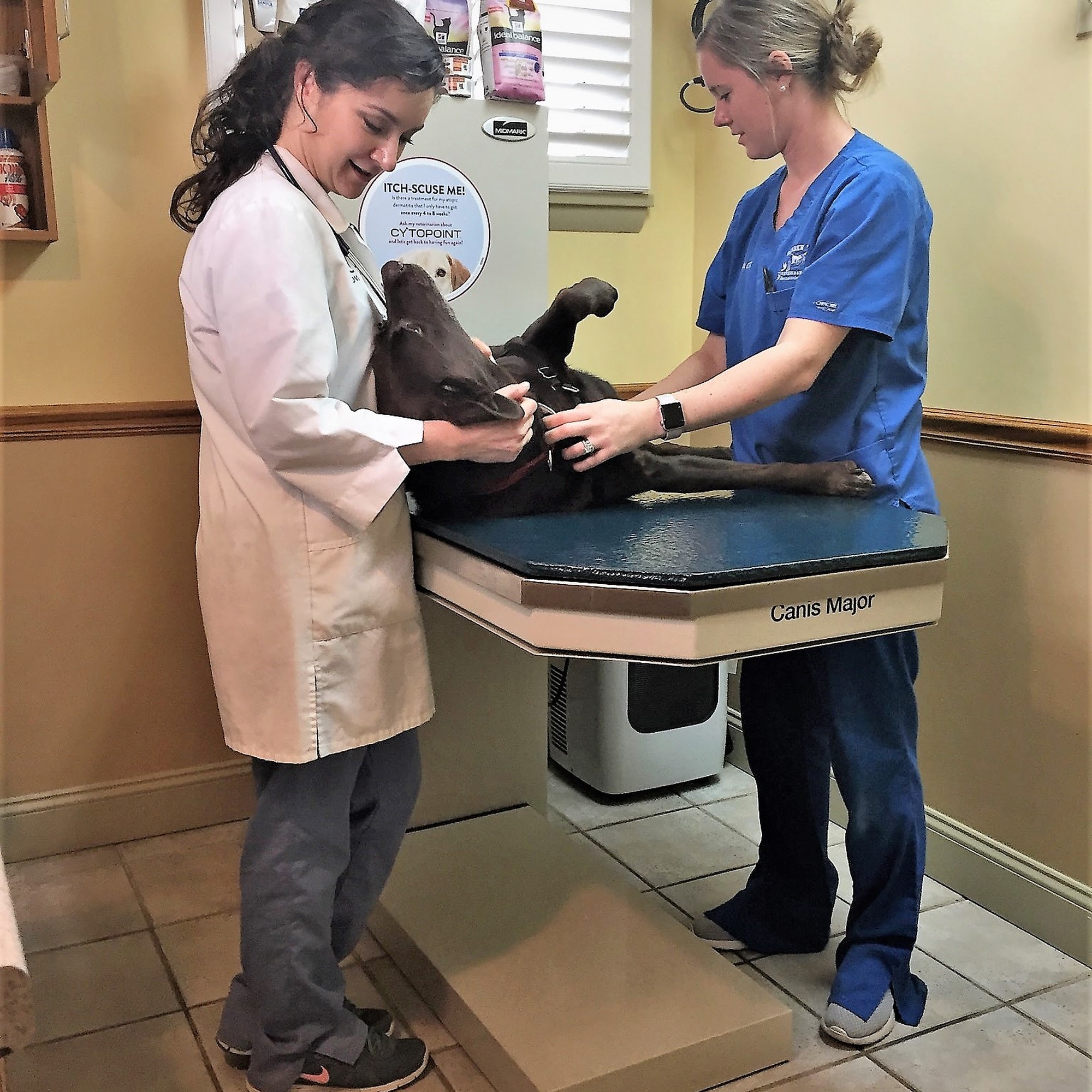 Tender Touch Veterinary Hospital Wexford