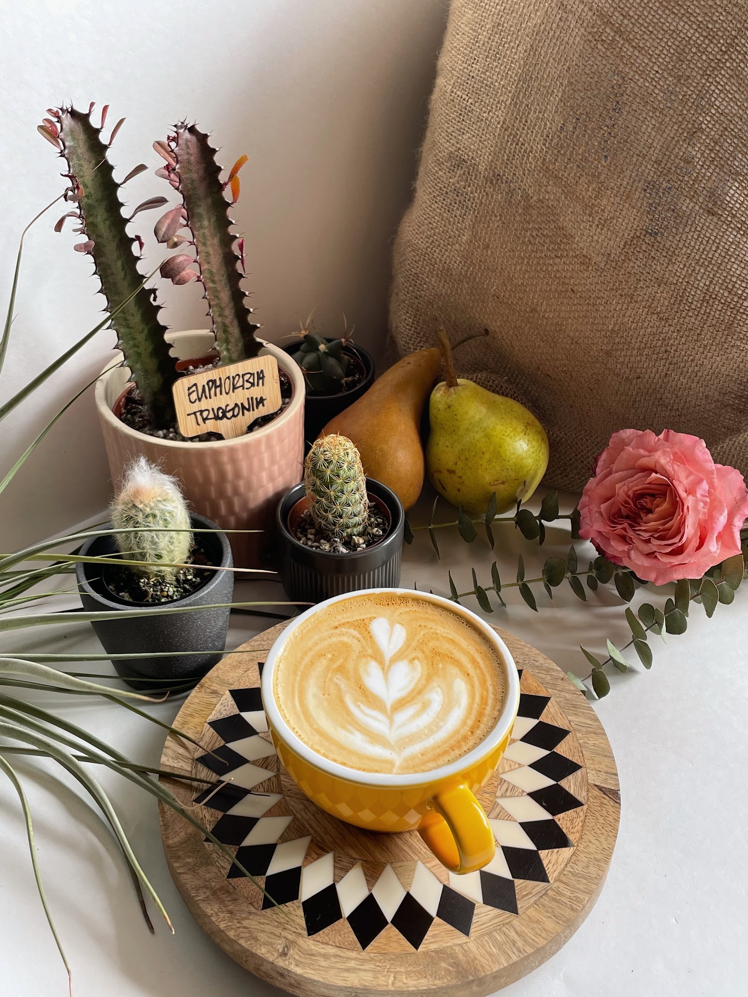 Cafe Conmigo Wexford