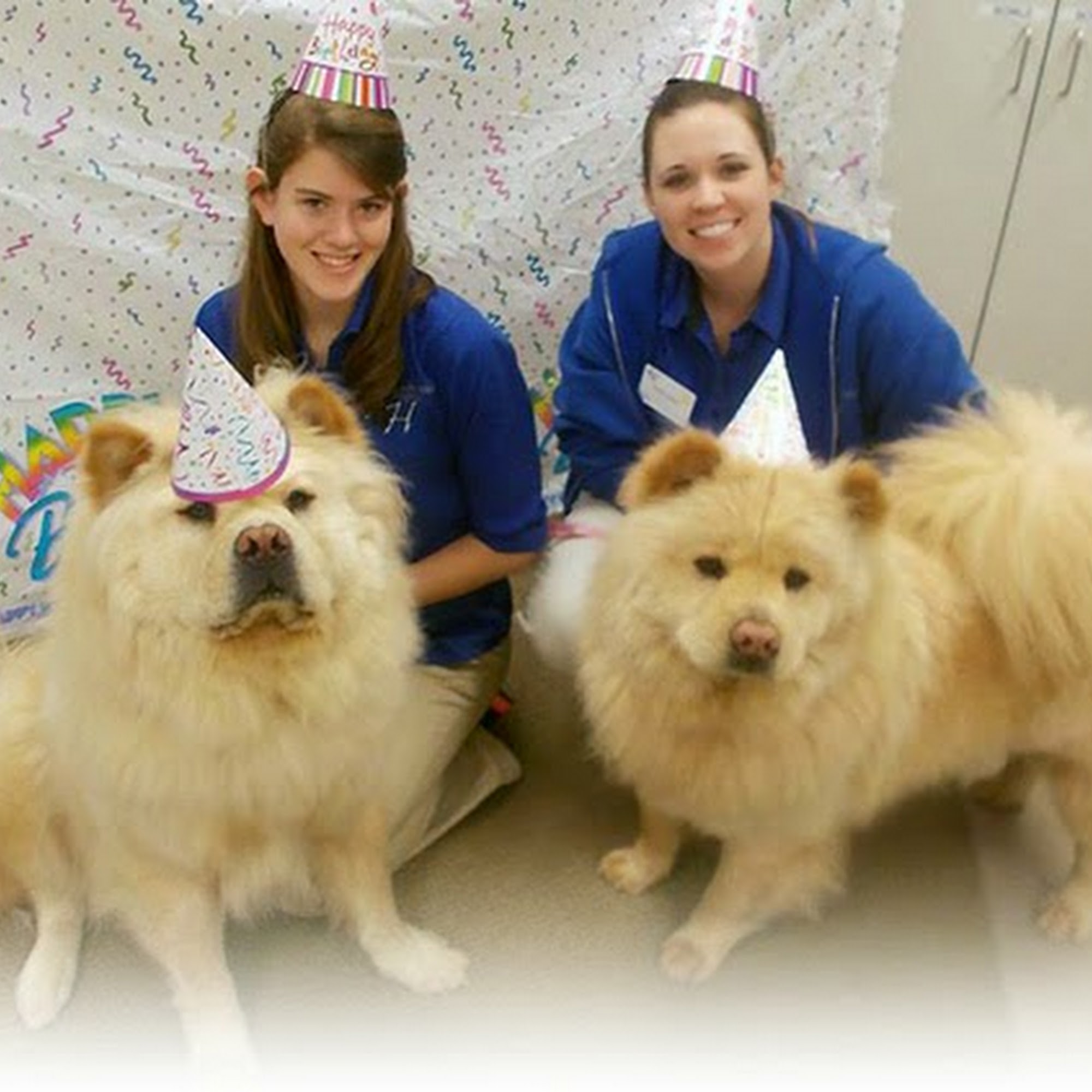 Bradford Hills Pet Hotel & Grooming Salon Wexford