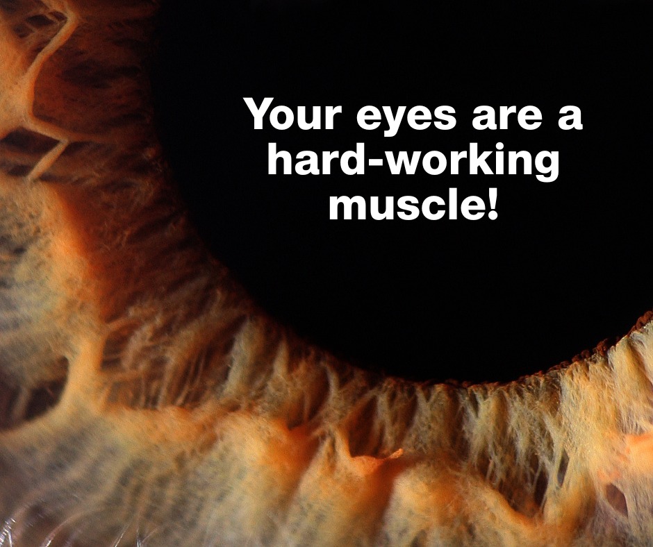 Dr. Vincent Possanza