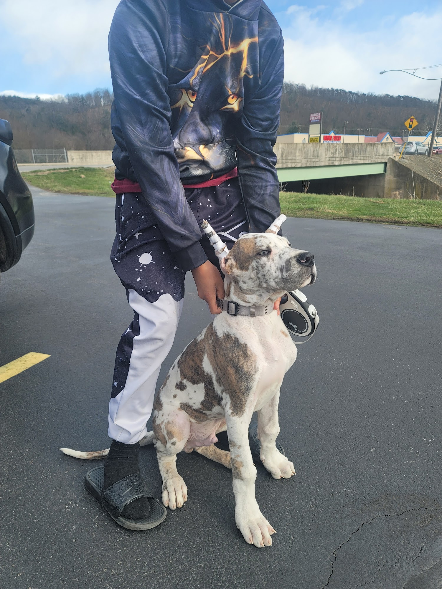 Little's Veterinary Hospital: Dubbs Patrick T DVM Williamsport