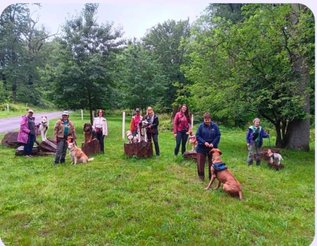 Y2K9s Dog Sports Club Willow Grove