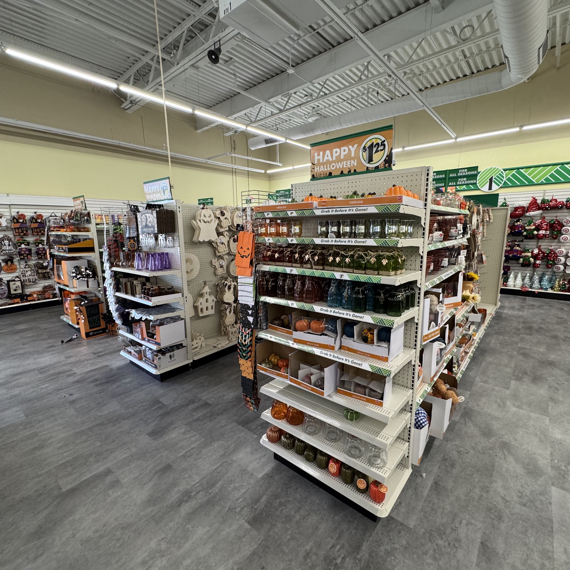 Dollar Tree Willow Grove