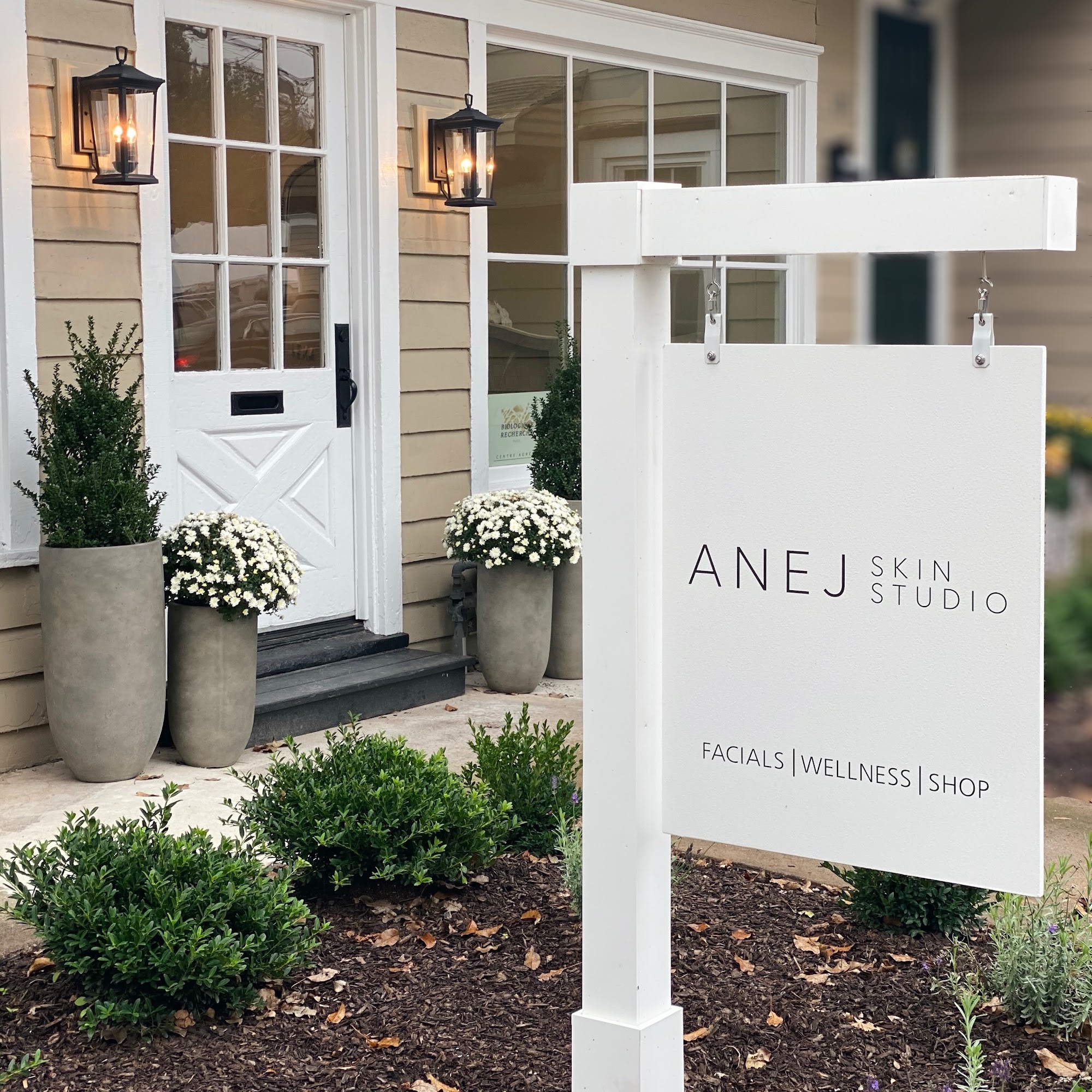 Anej Skin Studio