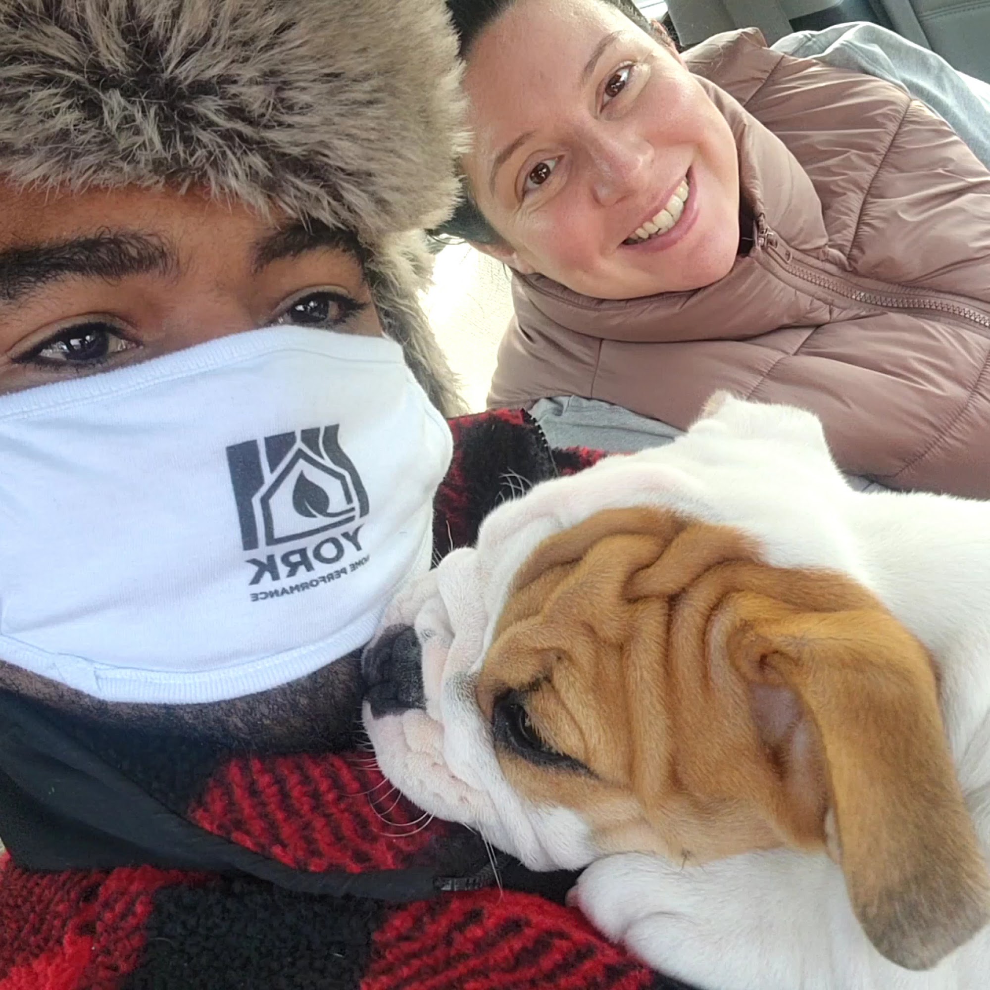 Community Animal Hospital York