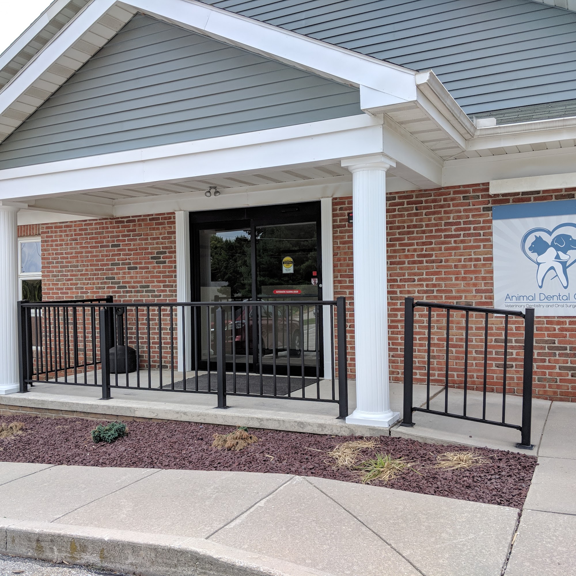 Animal Dental Center York