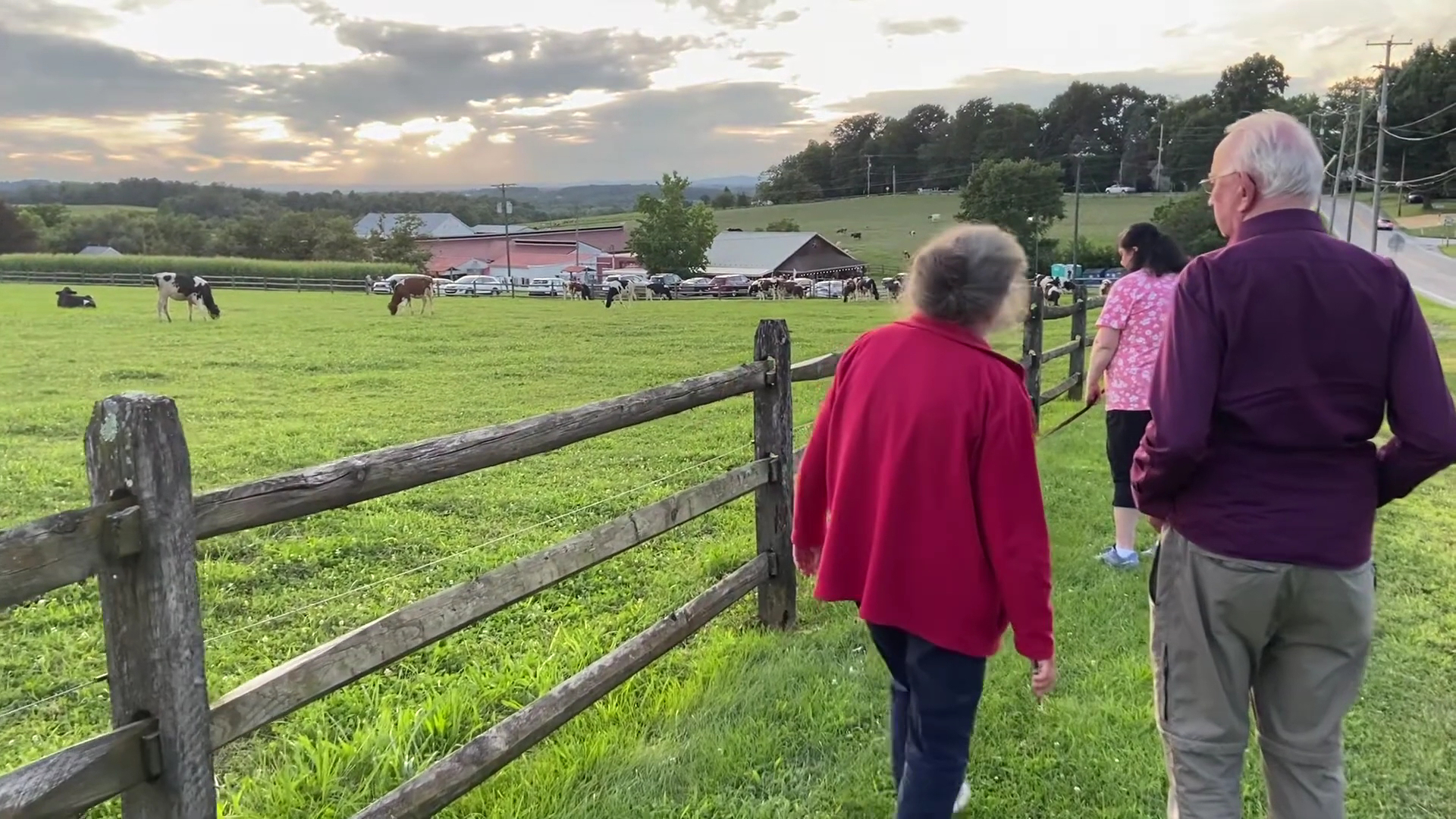 Perrydell Farm and Dairy York