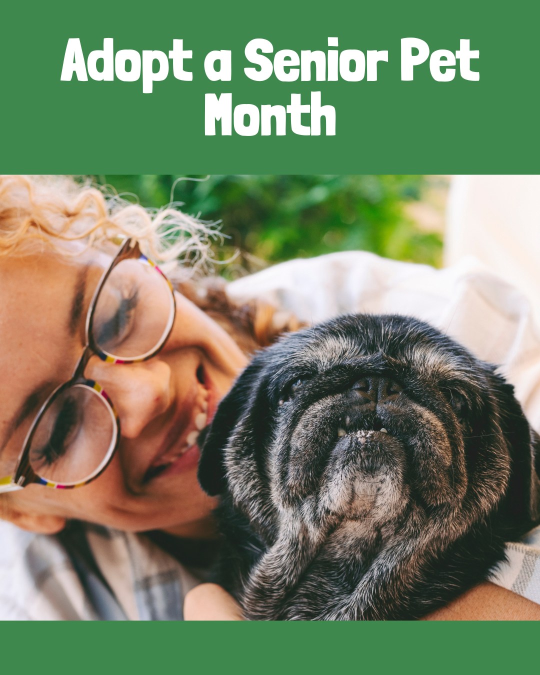 Leader Heights Animal Hospital: Aiello Jennifer A DVM York