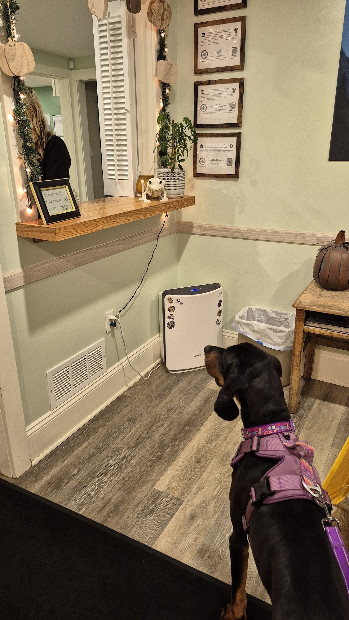 Green Hill Veterinary Care Ltd Youngwood