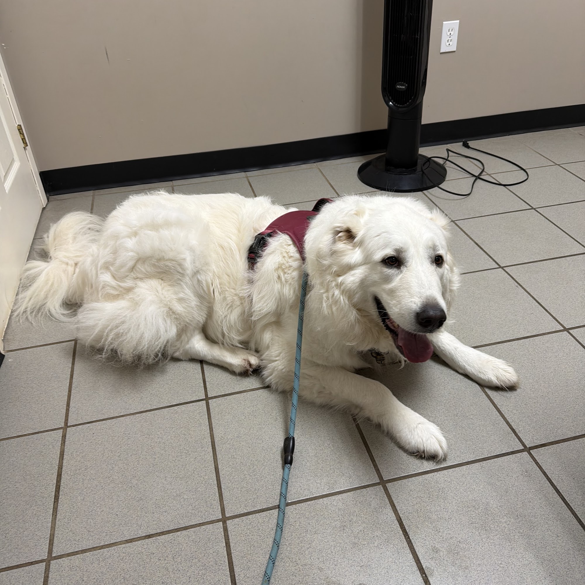 Miltonvale Park Veterinary Clinic Charlottetown