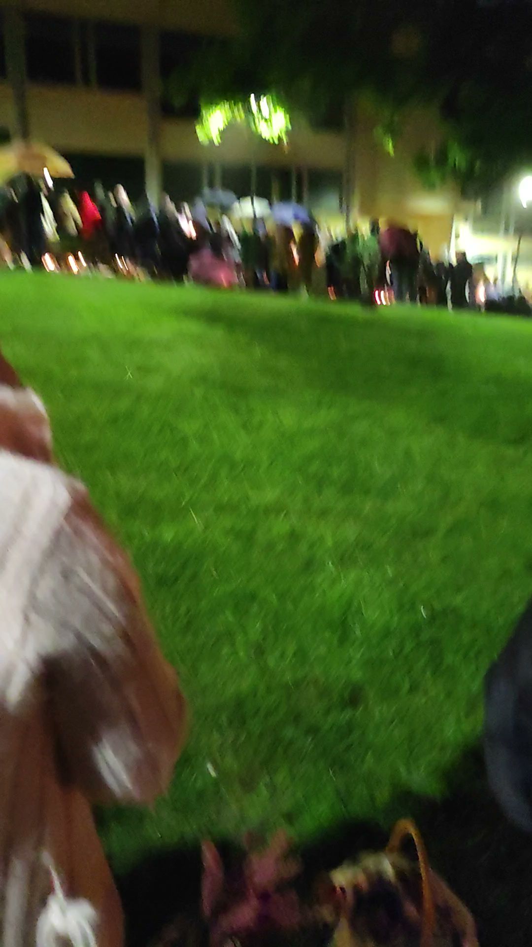 Casa Dos Frangos Av. João de Deus 11