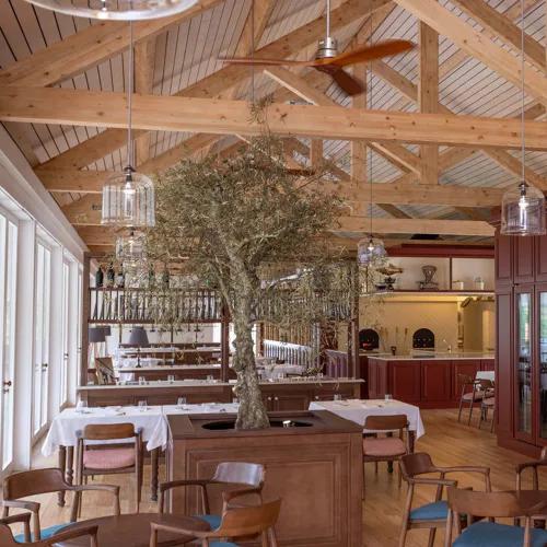 Photo credit: michelin