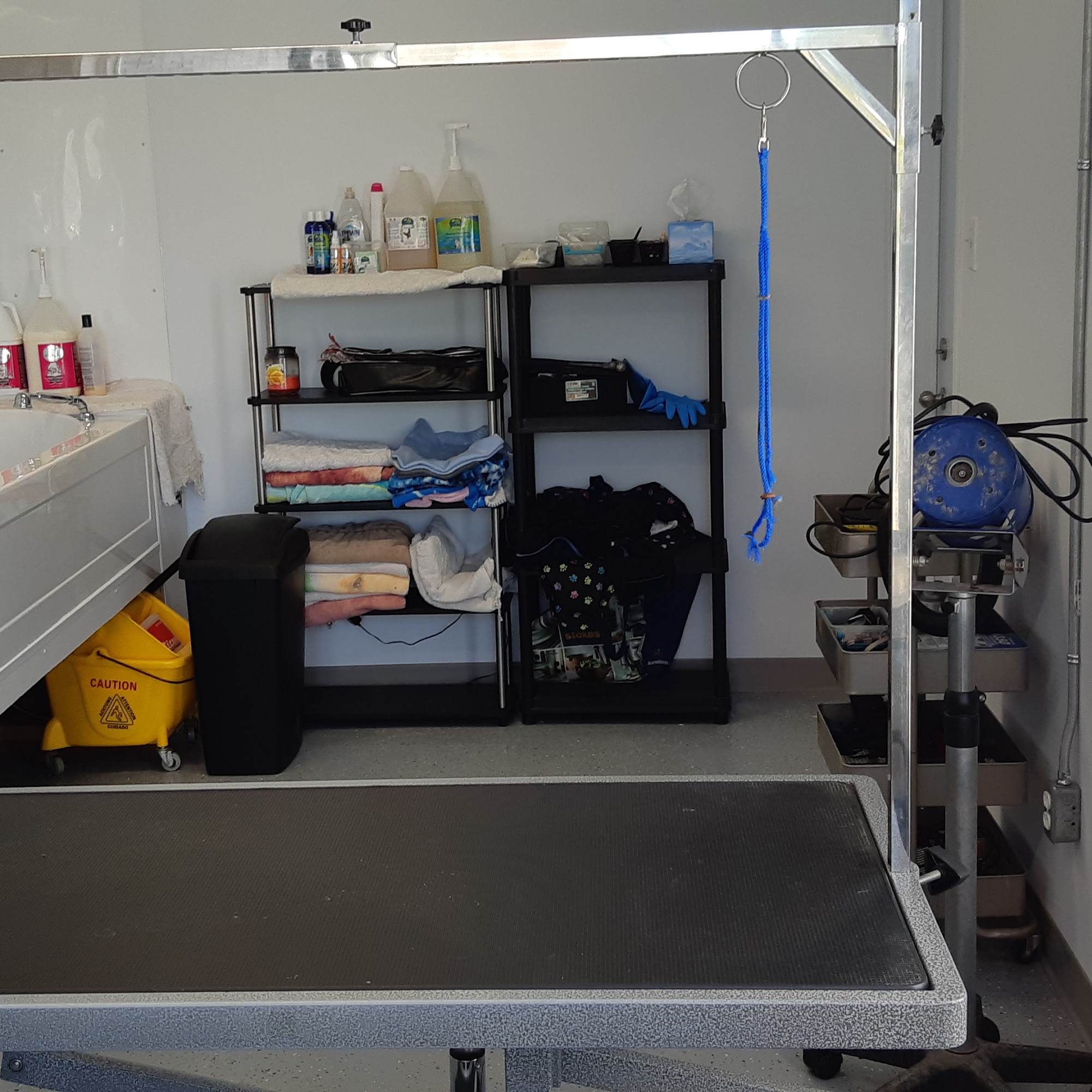 Le Salon de Toilettage Pitou Minou Alma