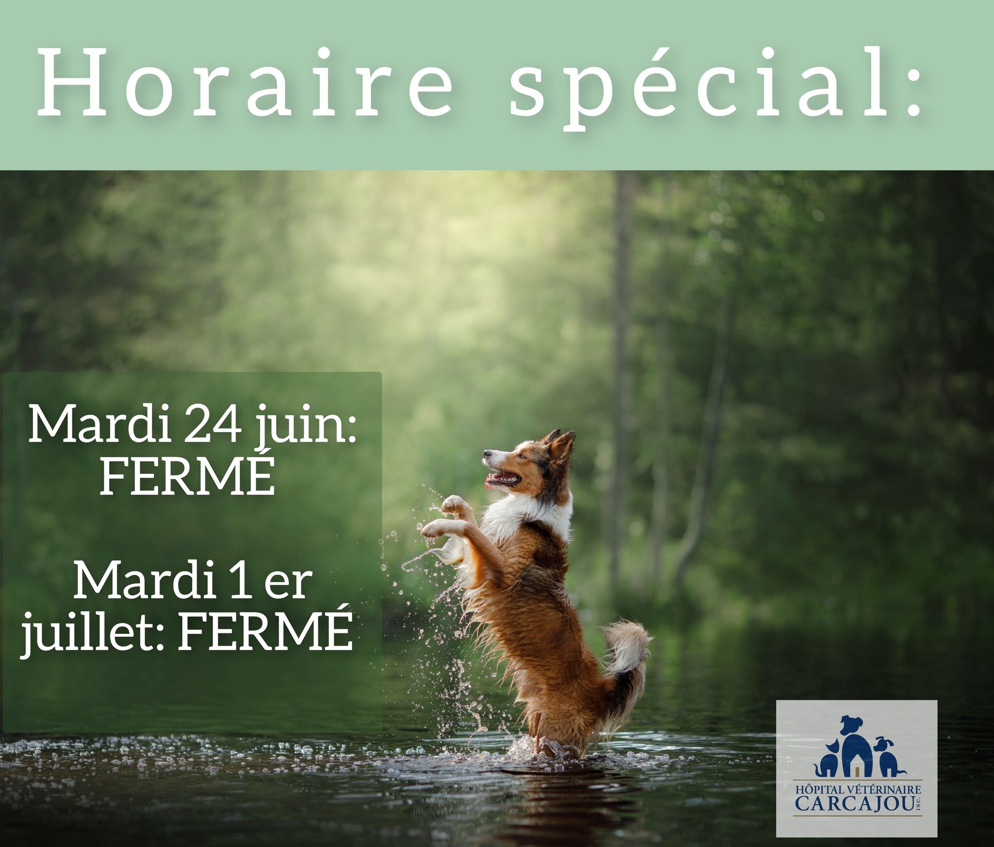 Hôpital Vétérinaire Carcajou Alma