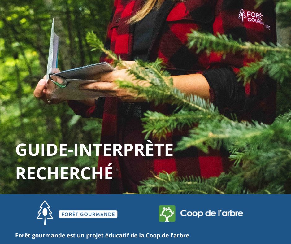 Forêt gourmande