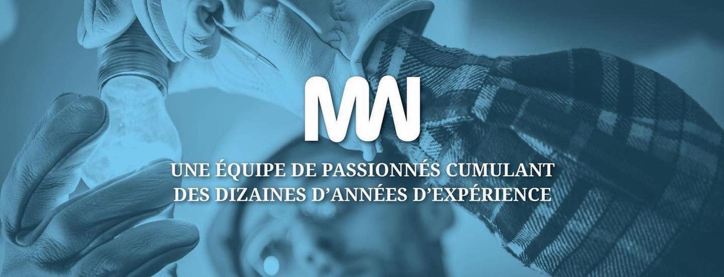 Electricité Mégawatt Inc