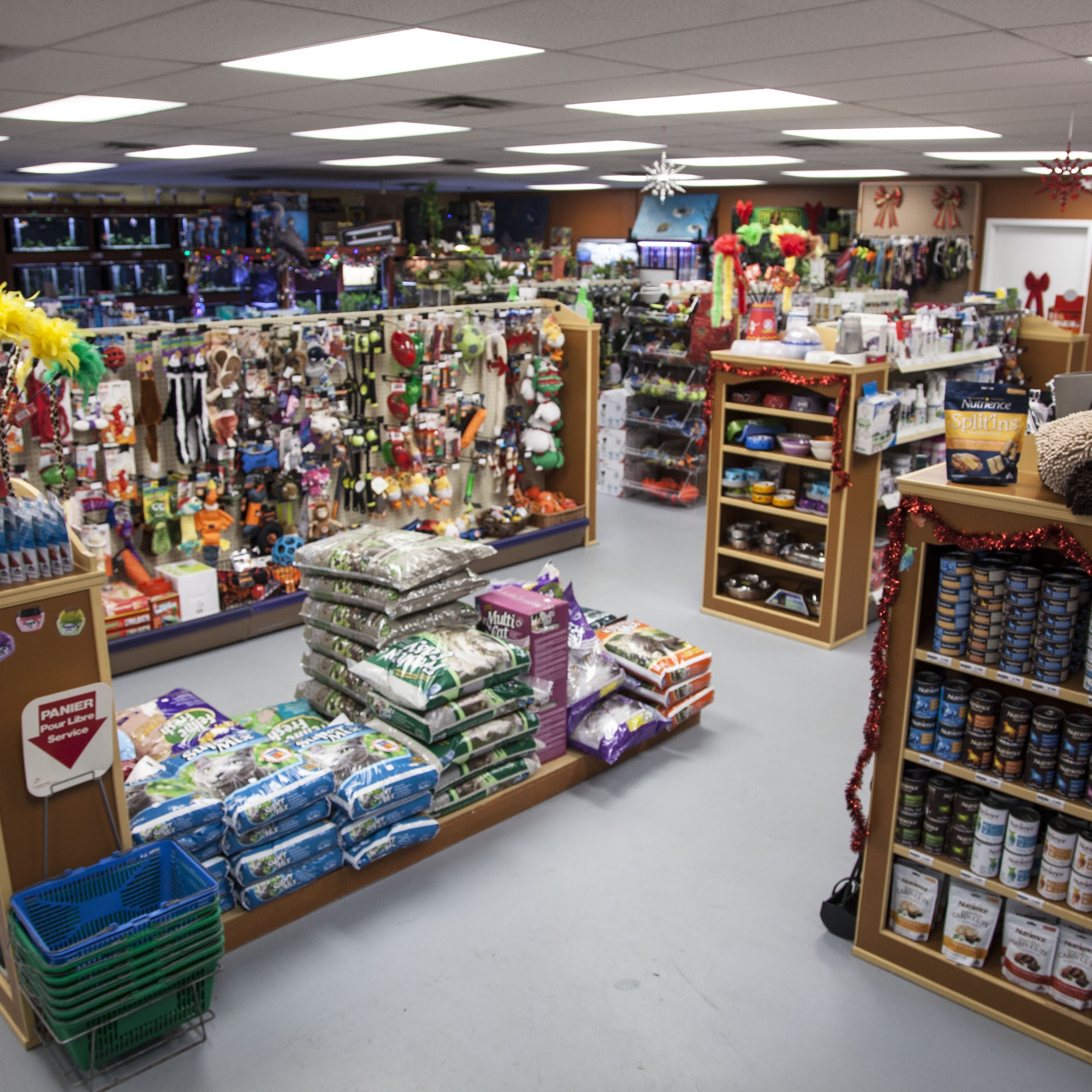 La Niche & Moi Gatineau