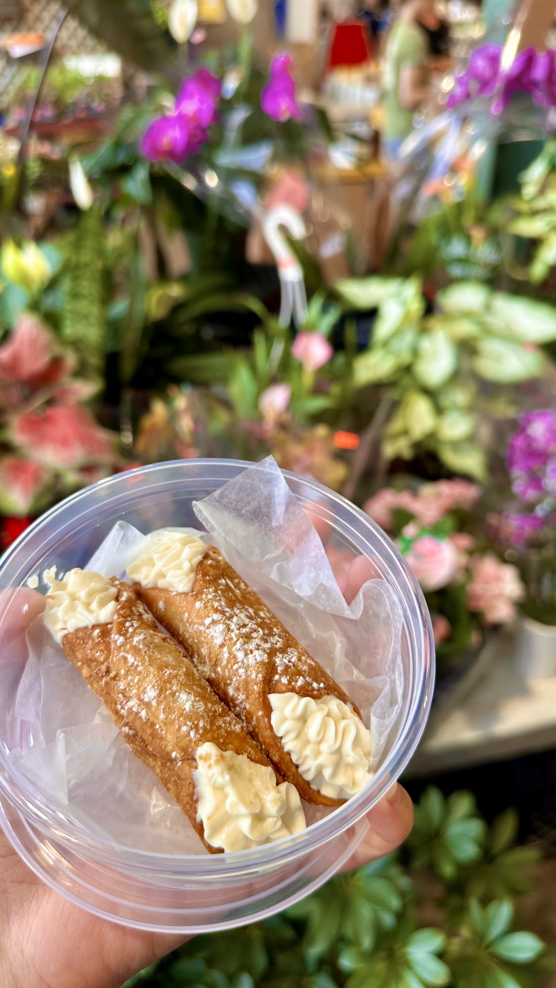 Les Délices de Nonna Menu