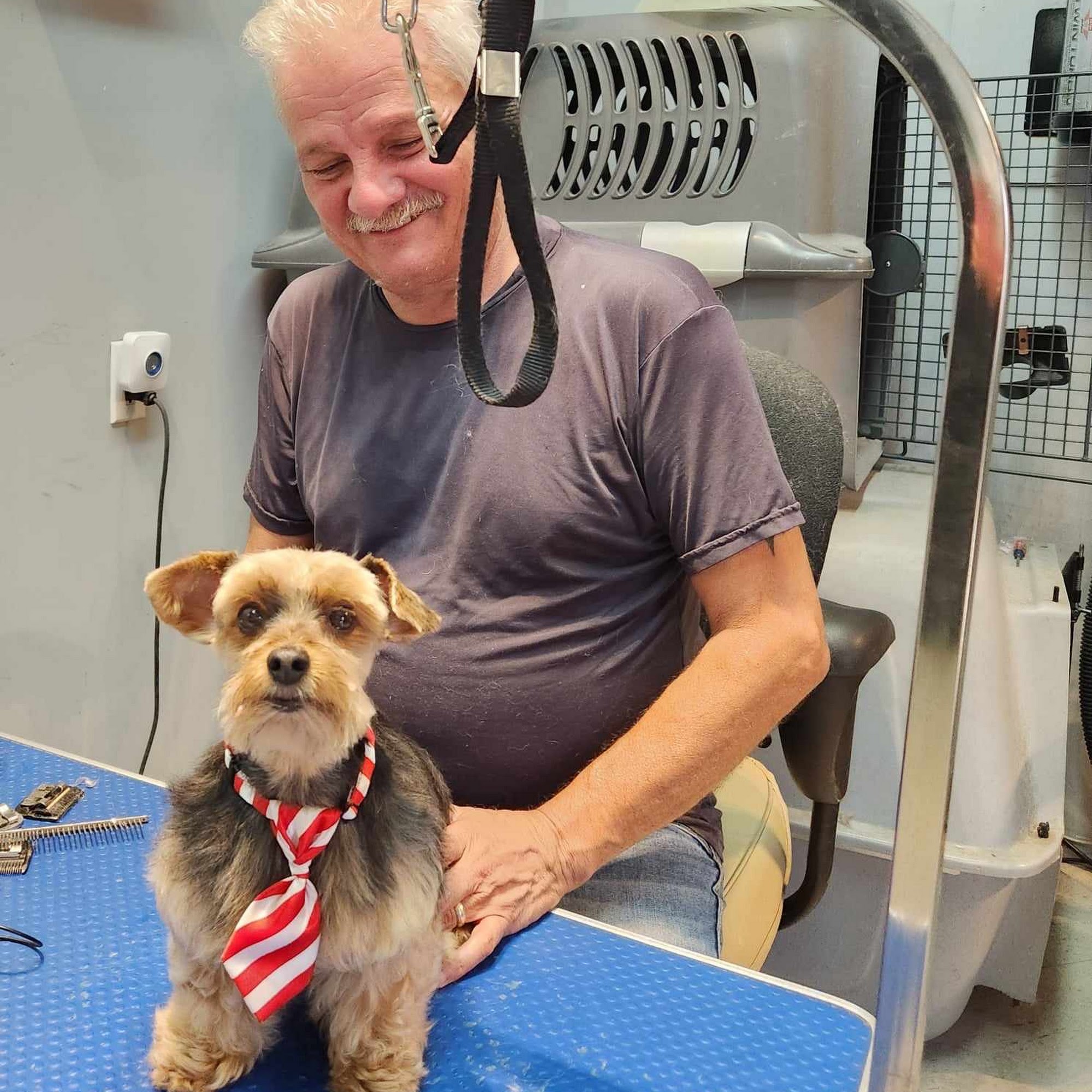 Salon De Toilettage Fripouille Lachine