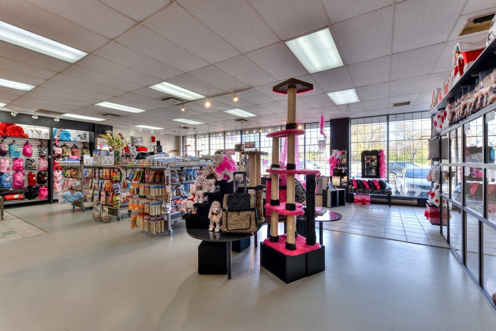 Pet Rouki FrouFrou Laval Laval