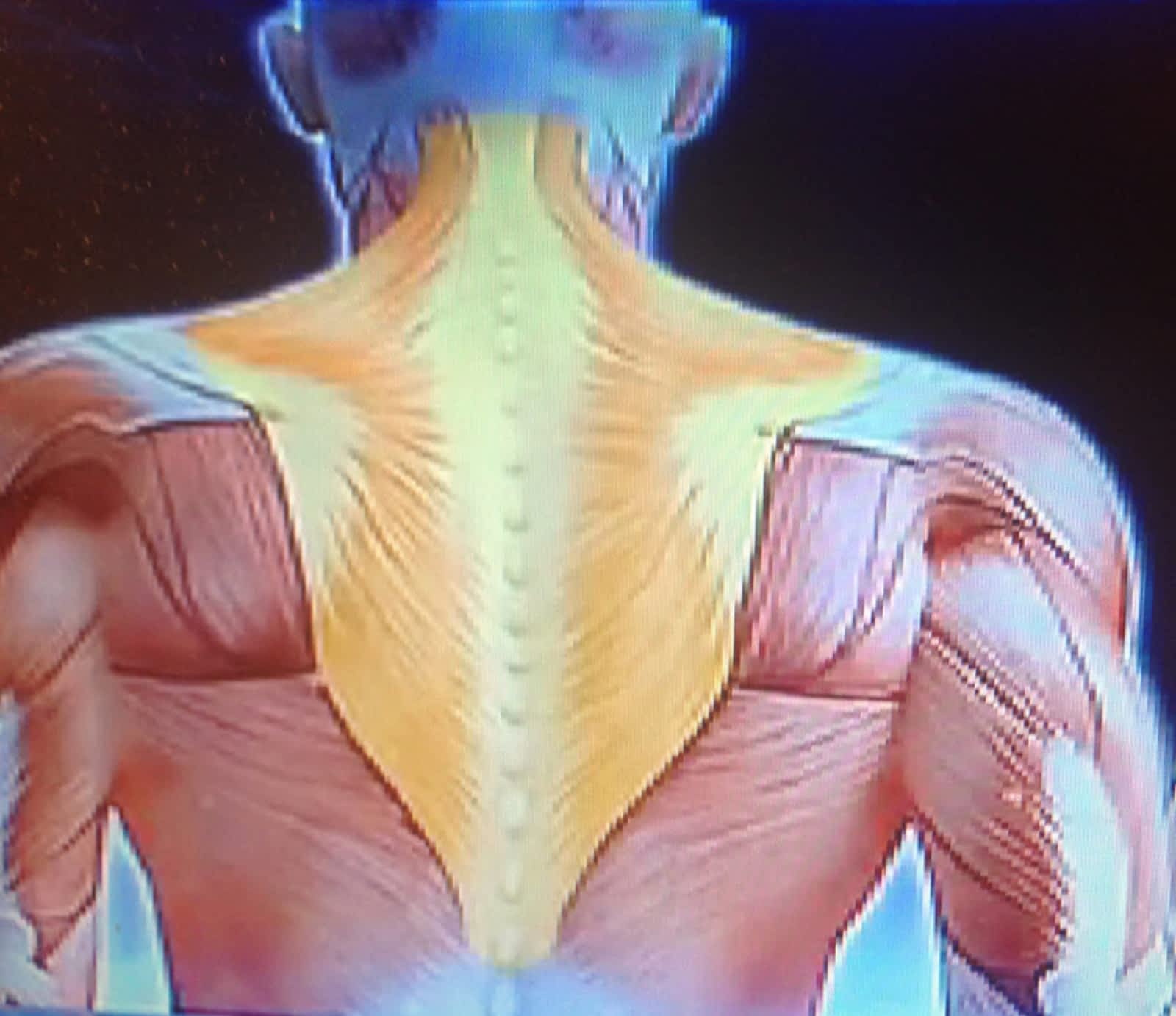 Photo credit: yellowpages.ca