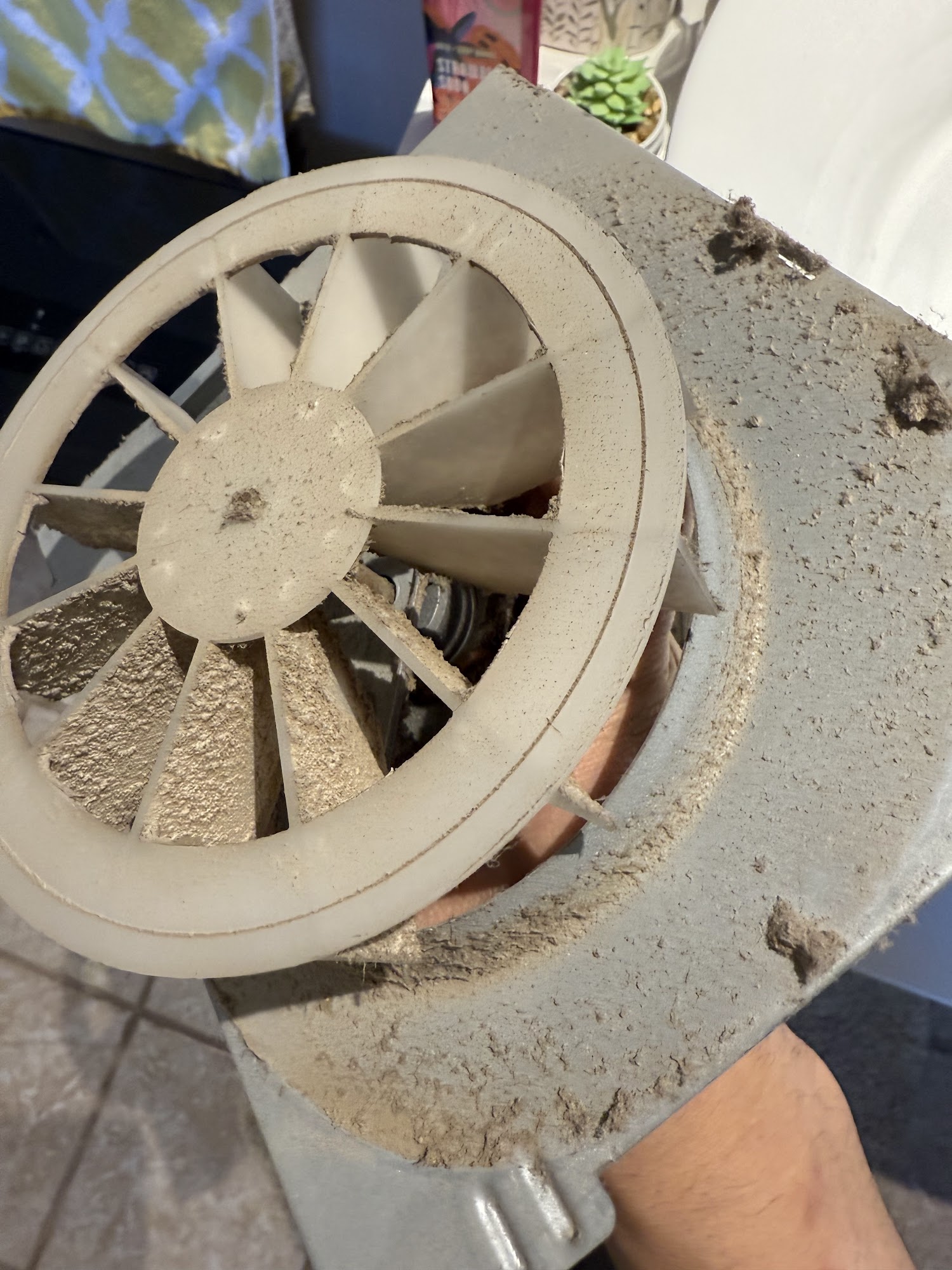 Breathewell 79 Grand Boulevard, L'Île-Perrot, QC J7V 4W4