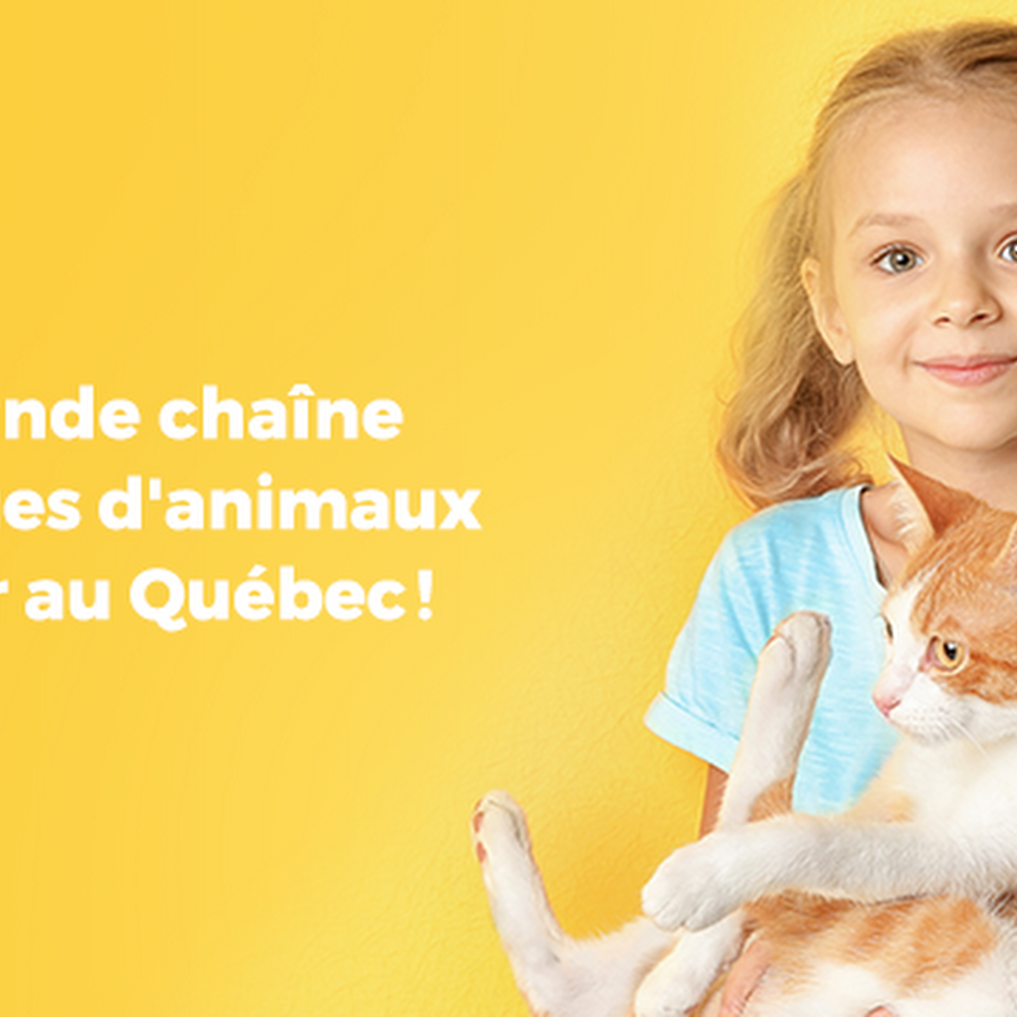 Chico - Boutique d'animaux | Longueuil Longueuil