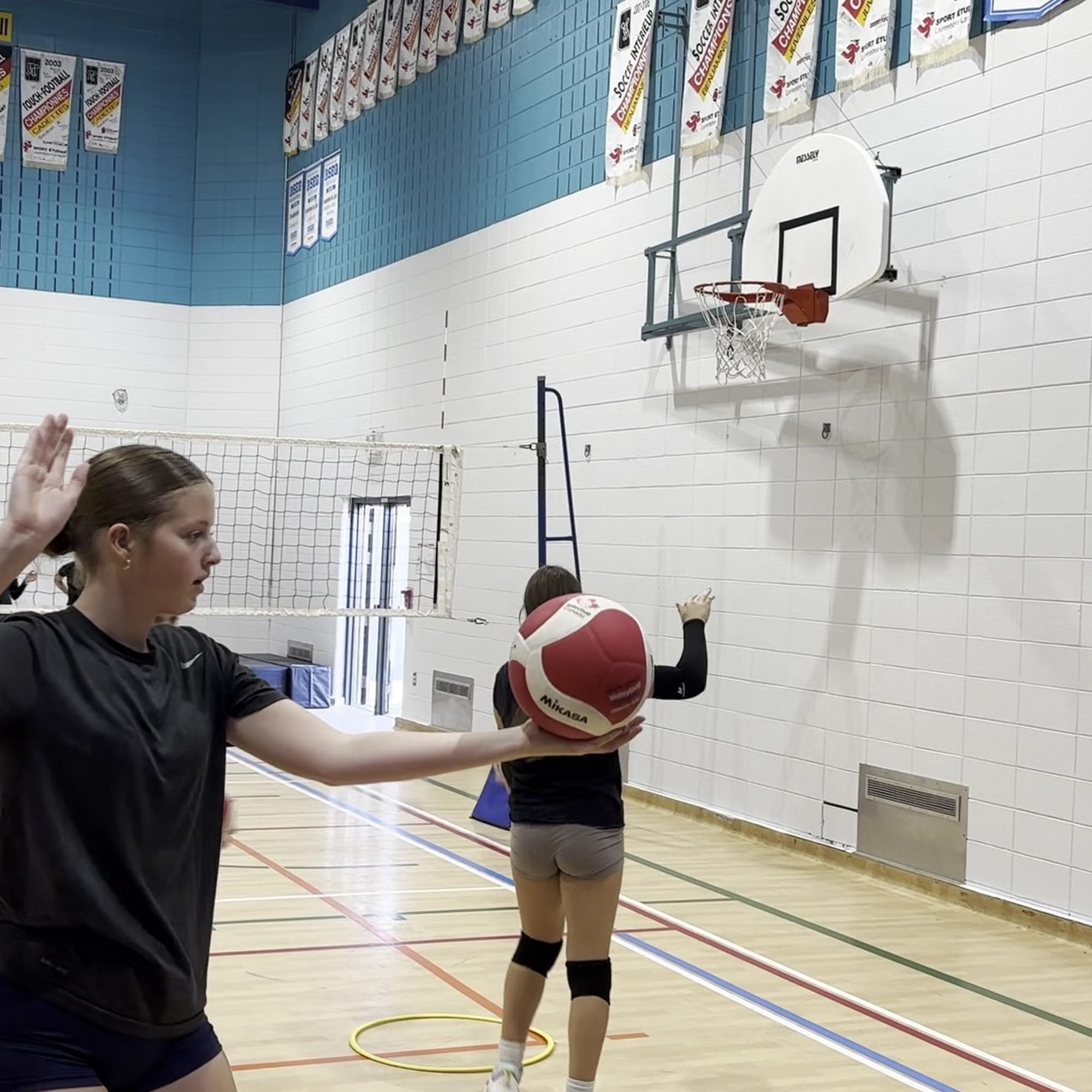 PJP Electrique 1325 Rue Labadie, Longueuil Quebec J4N 1E2