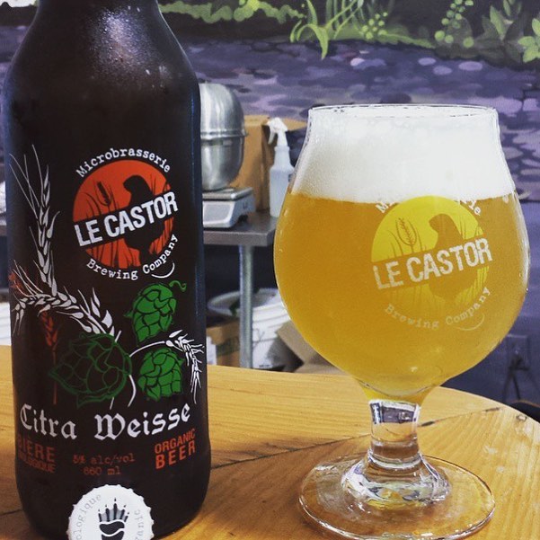 North Star Machines À Piastres Montreal