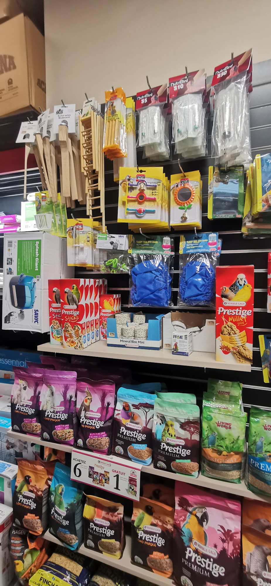 Pitou Minou & Compagnons Le Plateau Montreal