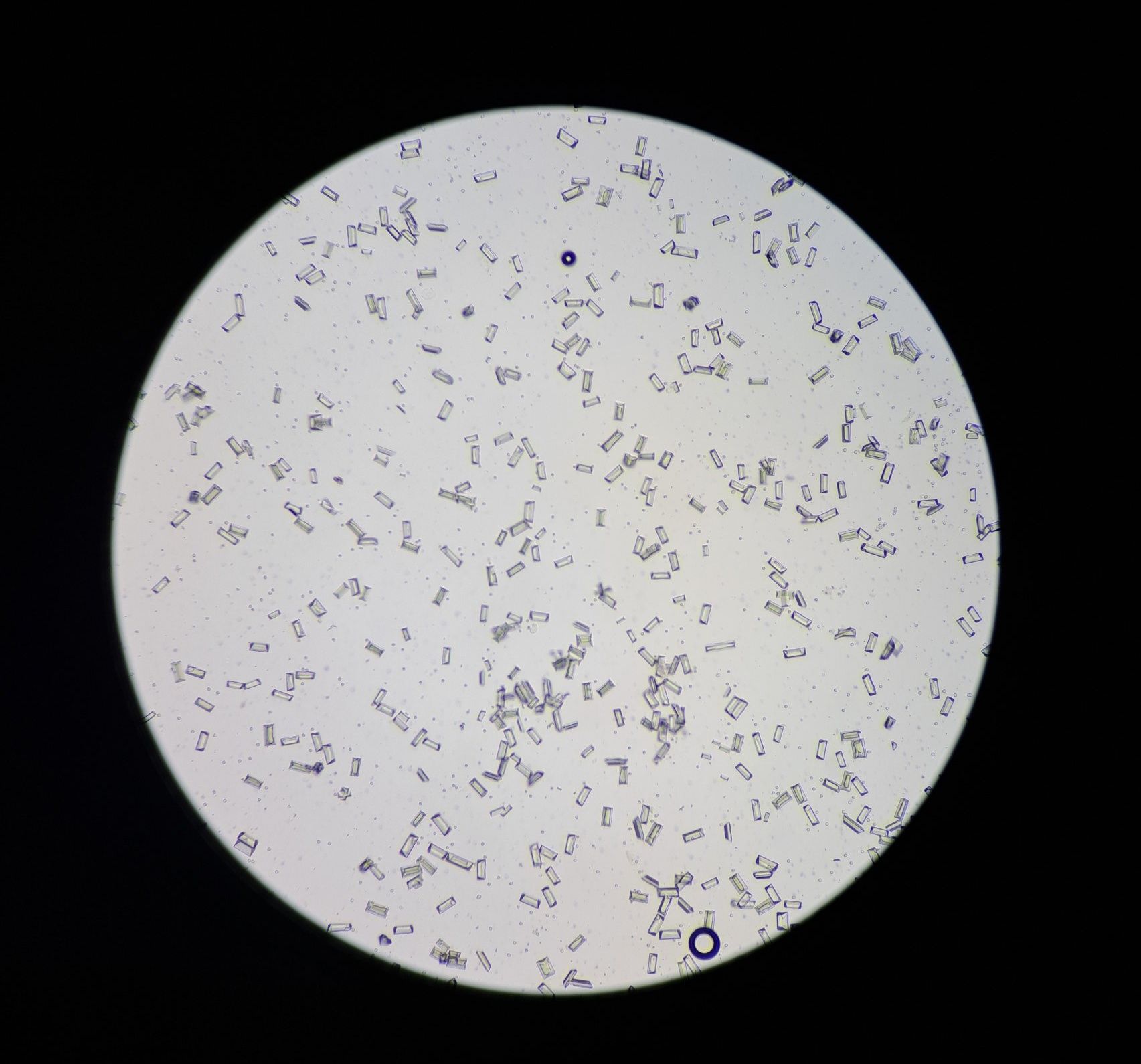 Clinique Vétérinaire Monkland Montreal