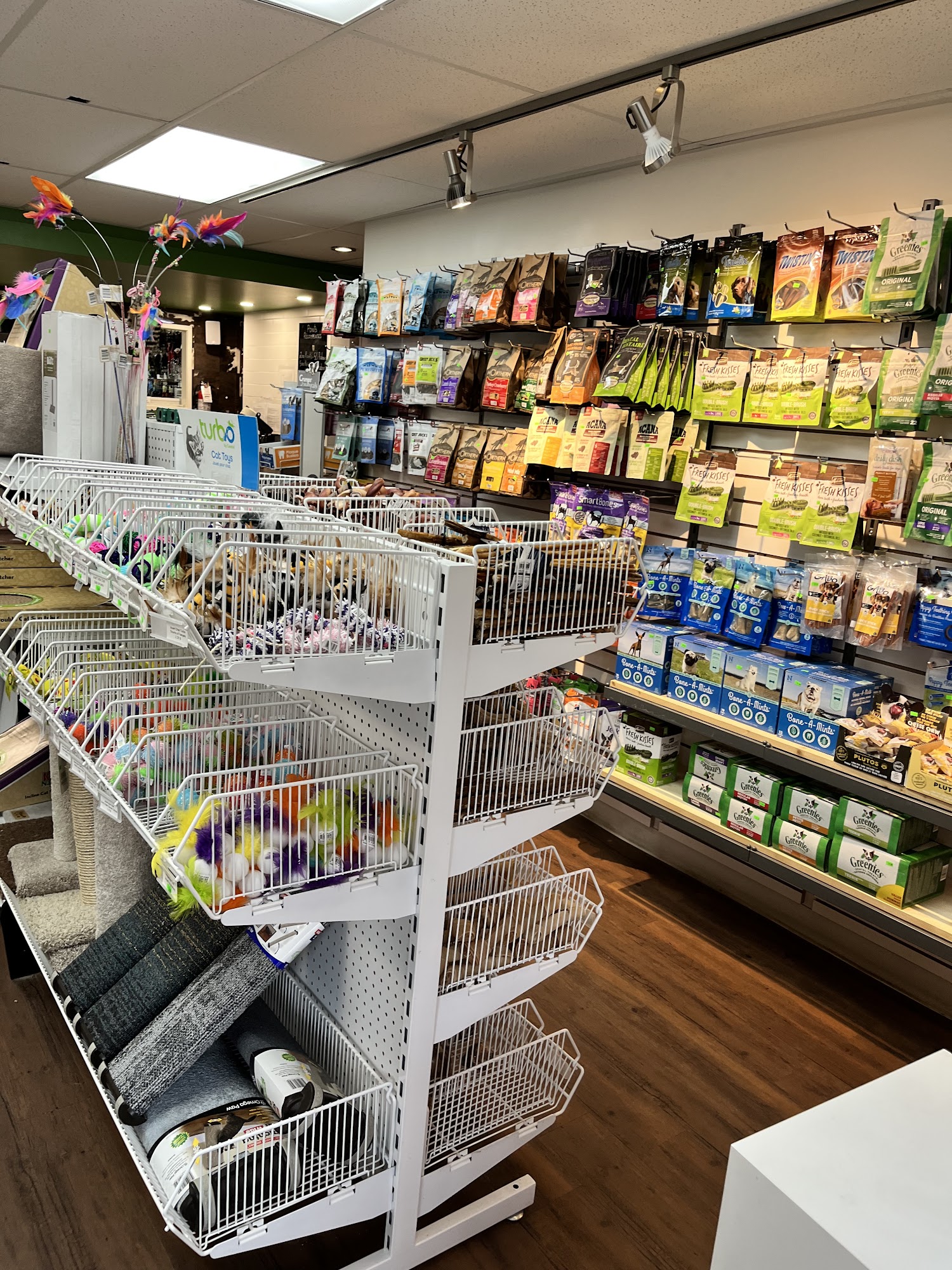 Gare Gamelle Montreal