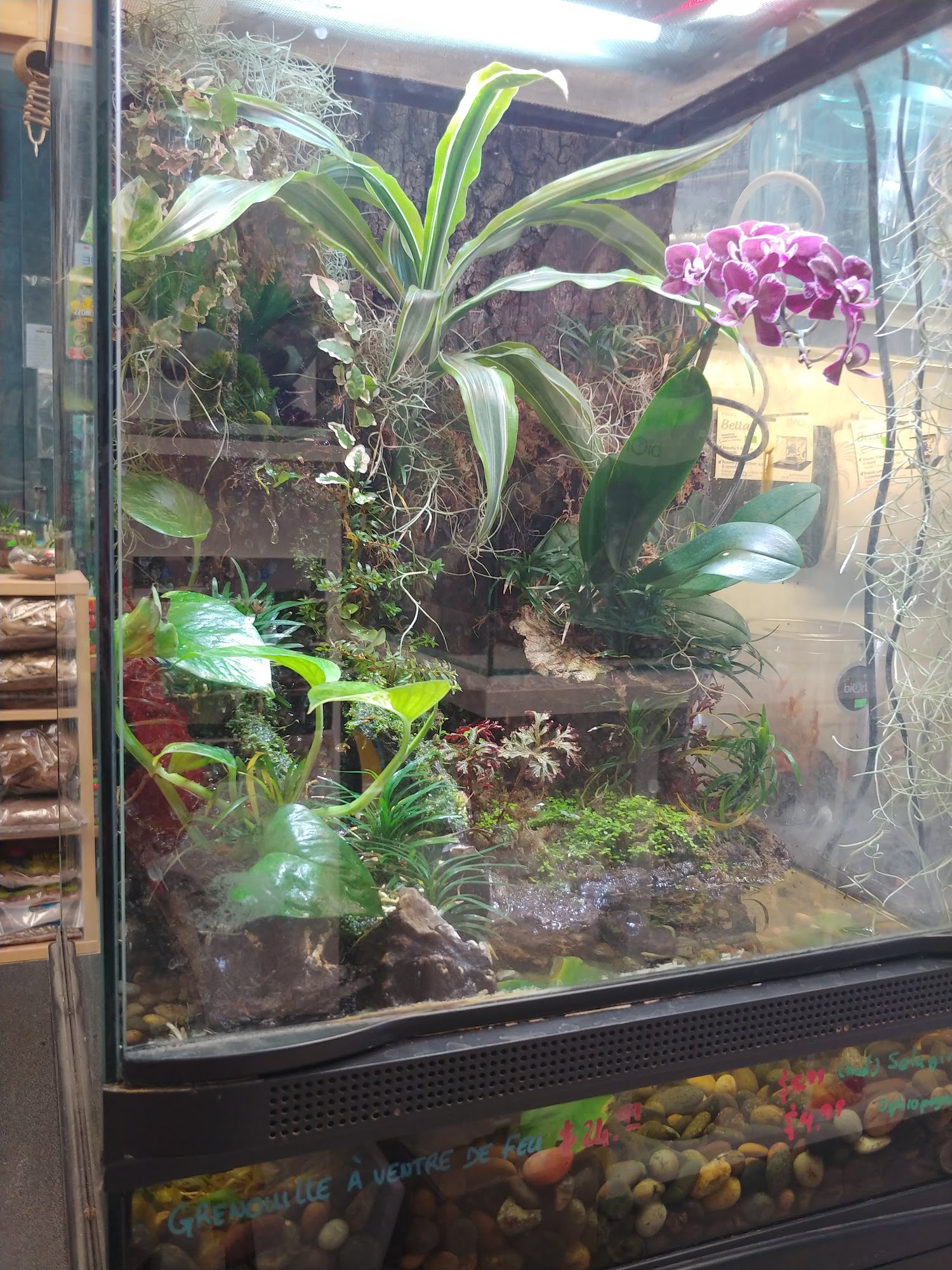 Aquarium Du Nord Montreal