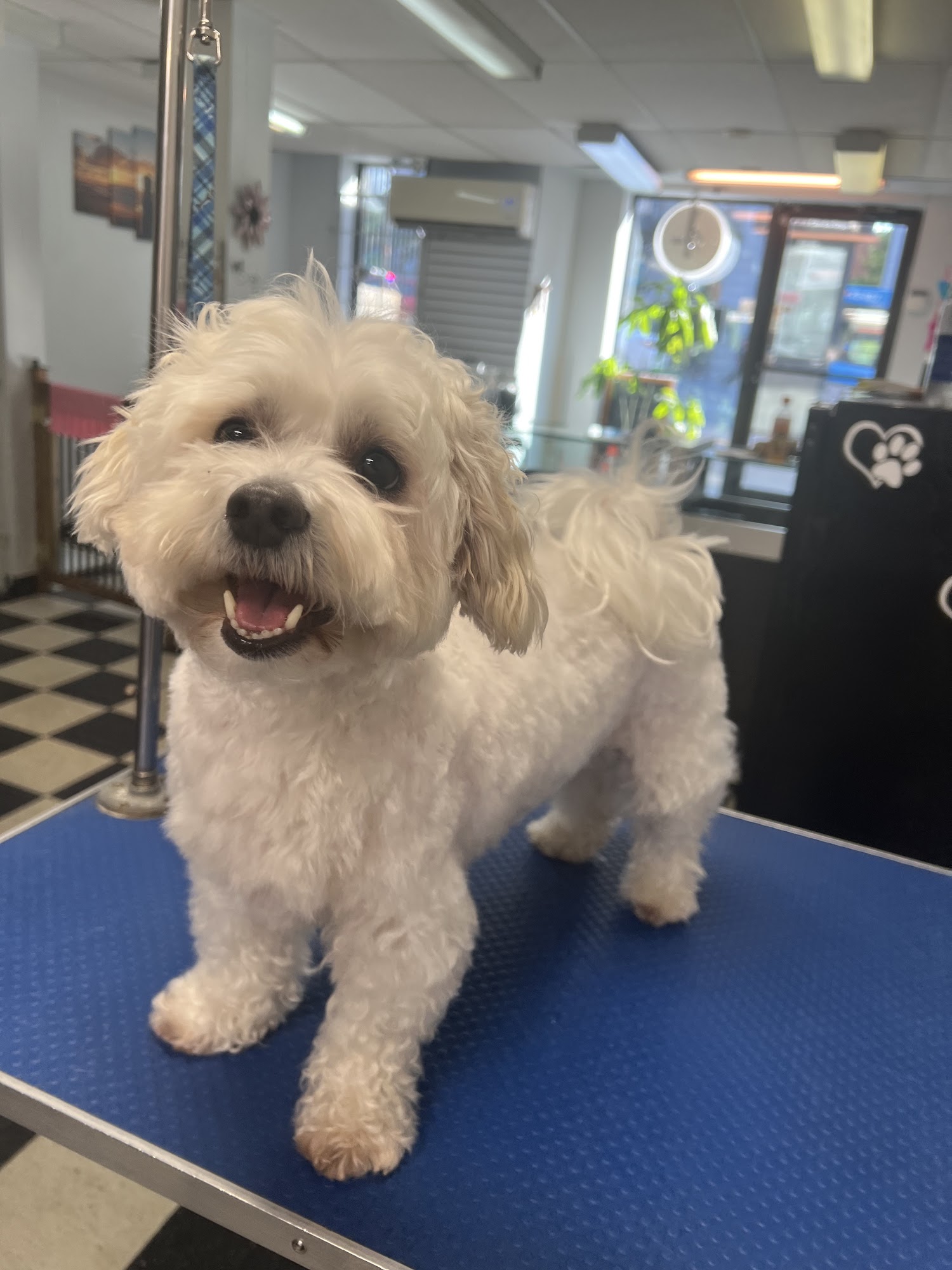 Spa Le Petlandais Montreal