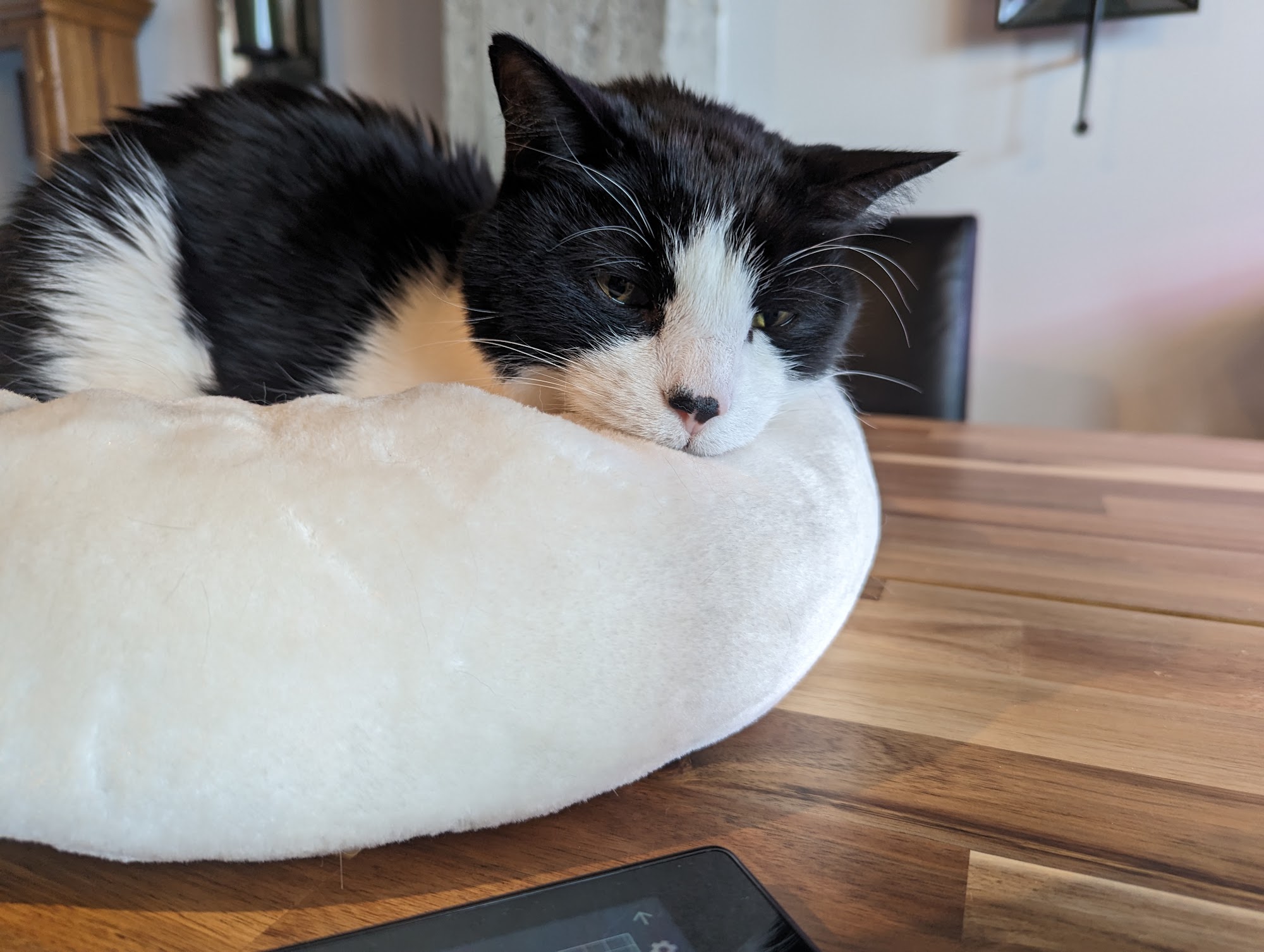 Hôtel MUZO Montreal