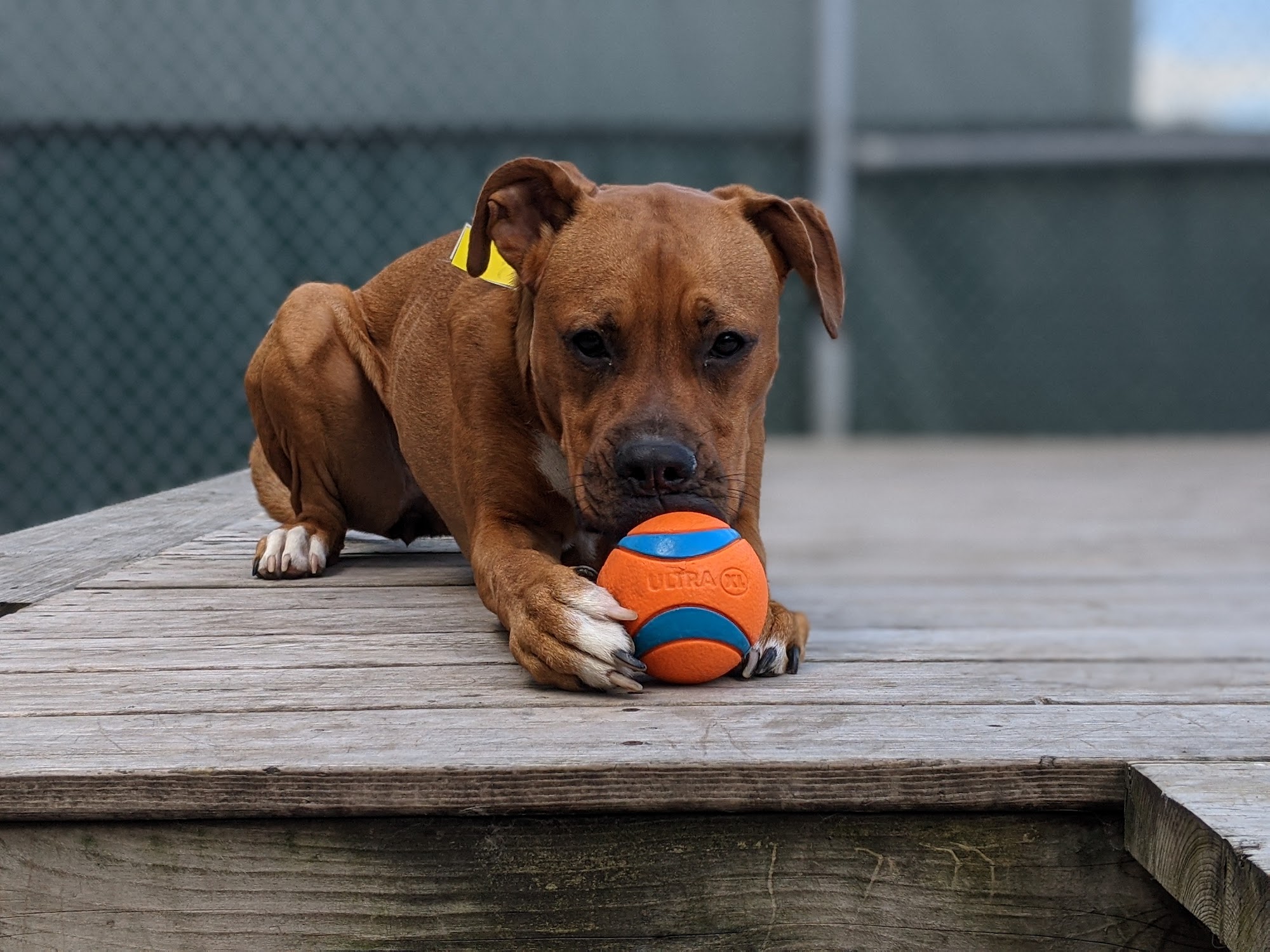 Hôtel MUZO Montreal