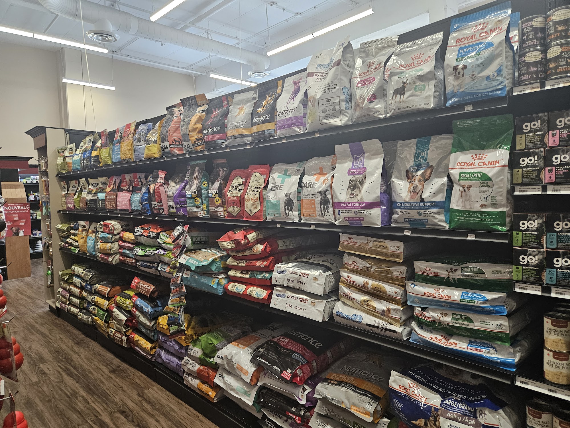 Pitou Minou & Compagnons Global Ville Saint-Laurent Montreal