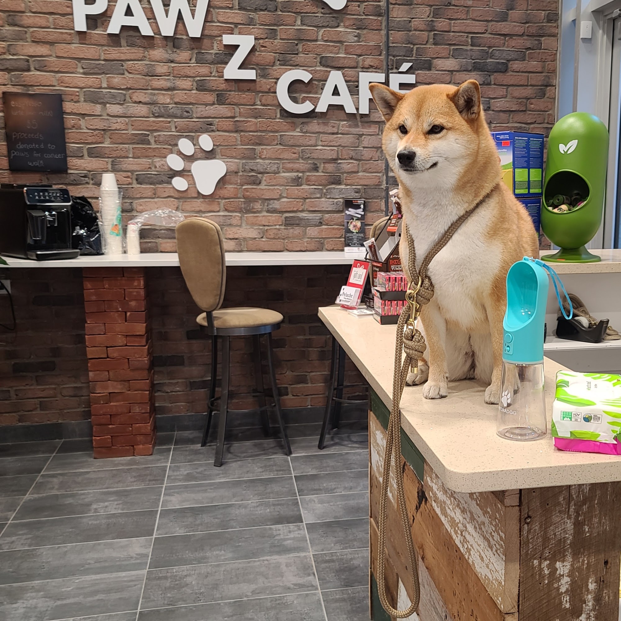 Peluche Vieux Montréal Montreal