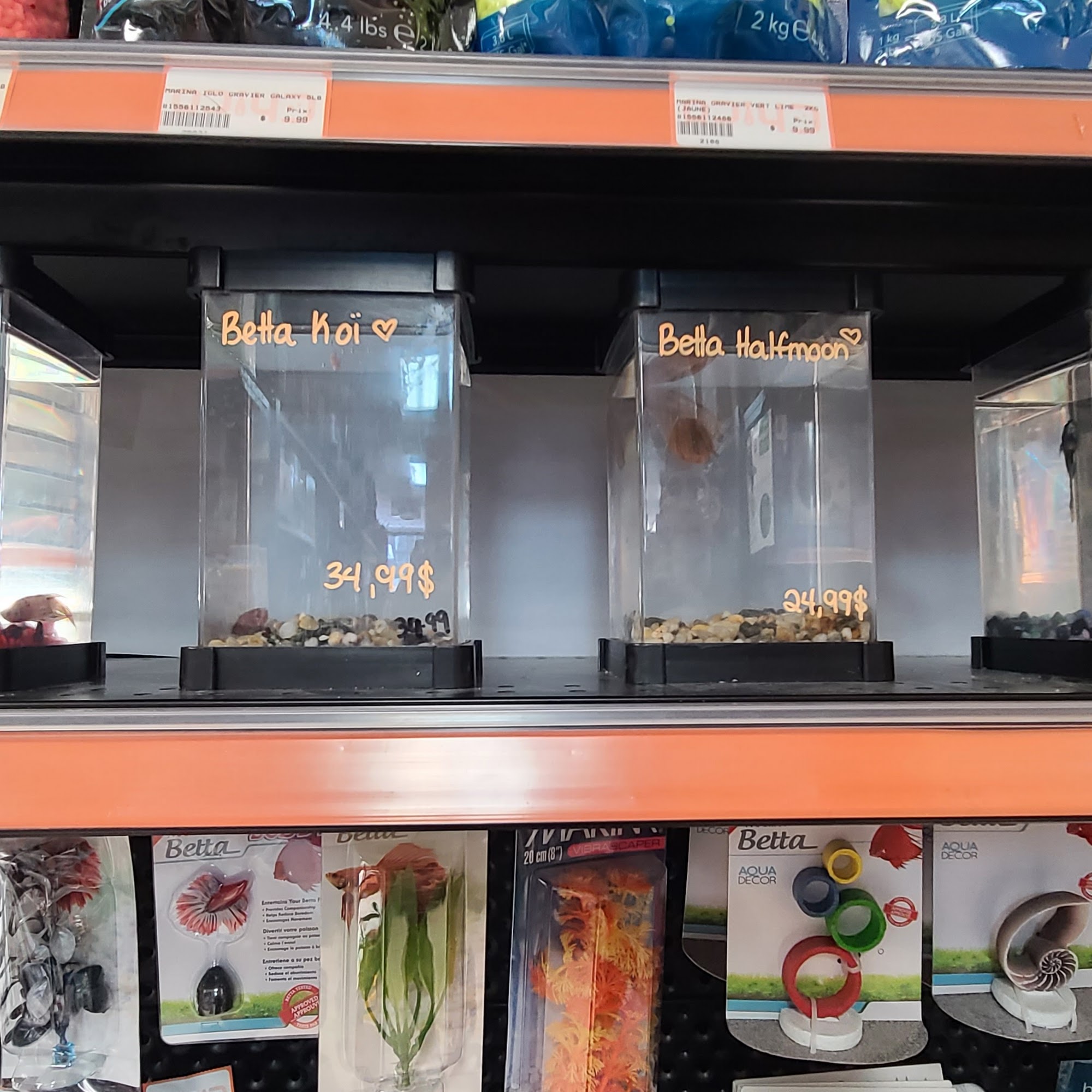 Chico - Boutique d'animaux | Hochelaga Montreal