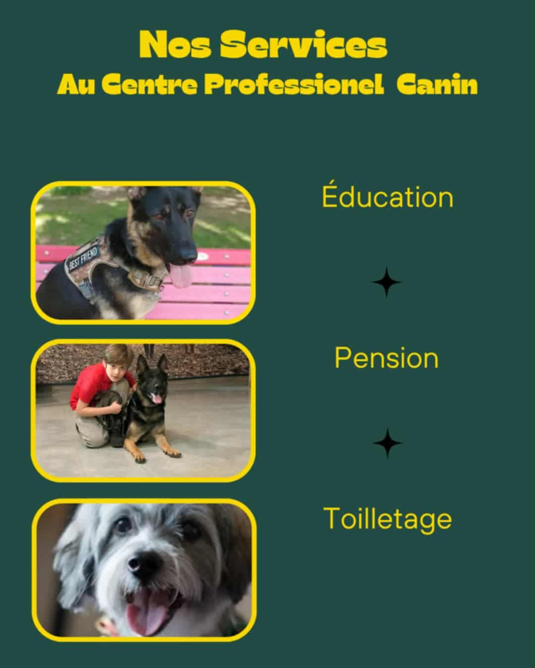 Centre Professionnel Canin Montreal