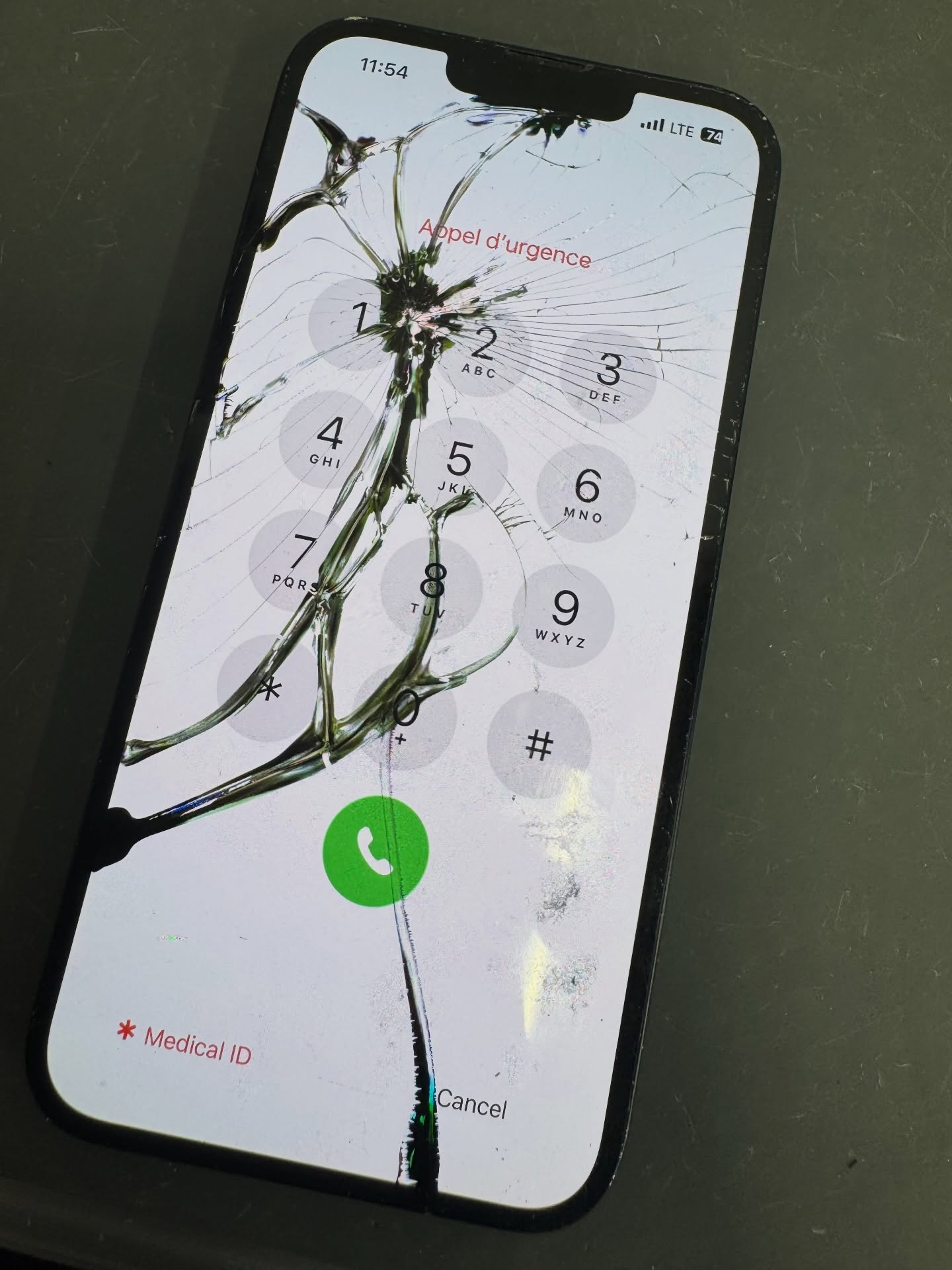 SERVICES CELLPRO