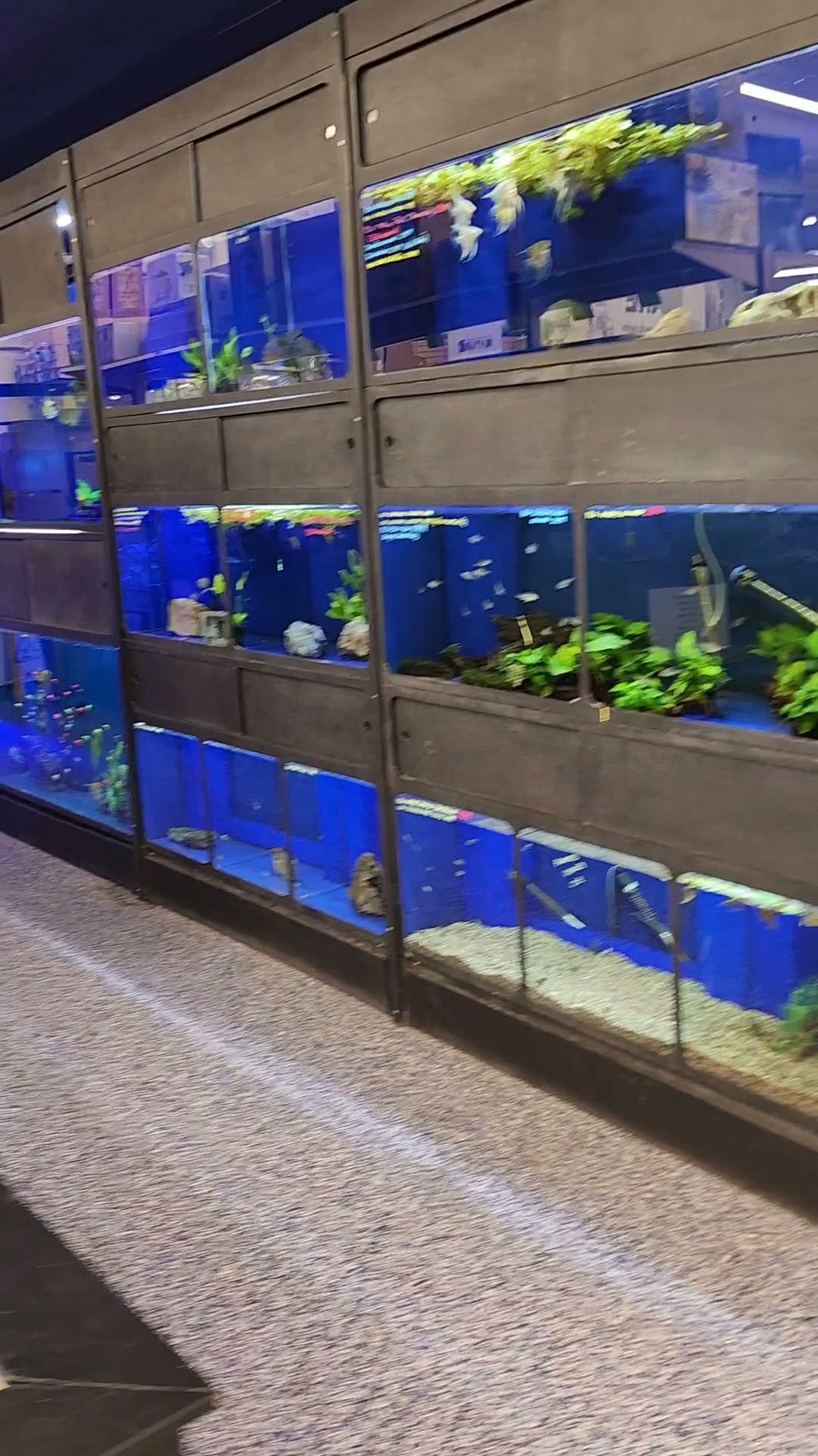 Centre d'Animaux Nature (Pointe-Claire) Pointe-Claire