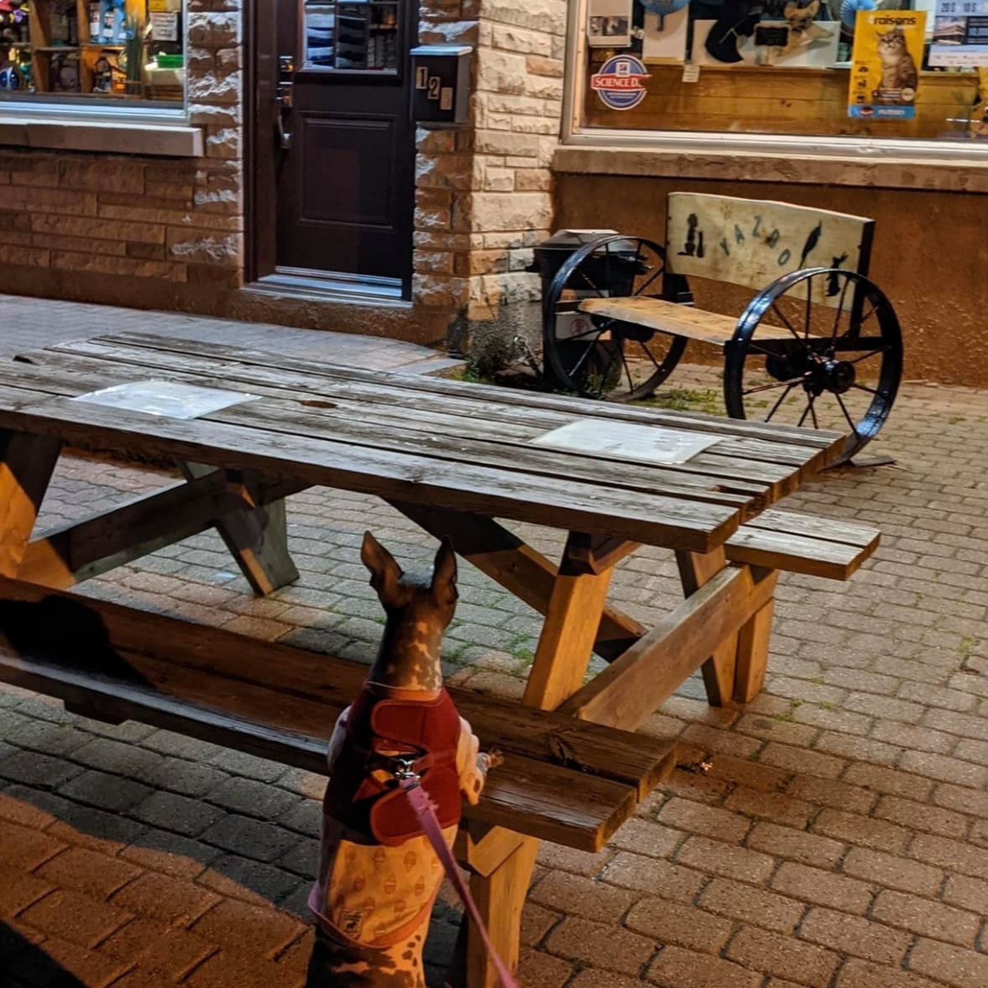 Yazoo Pet Supplies & Grooming Pointe-Claire