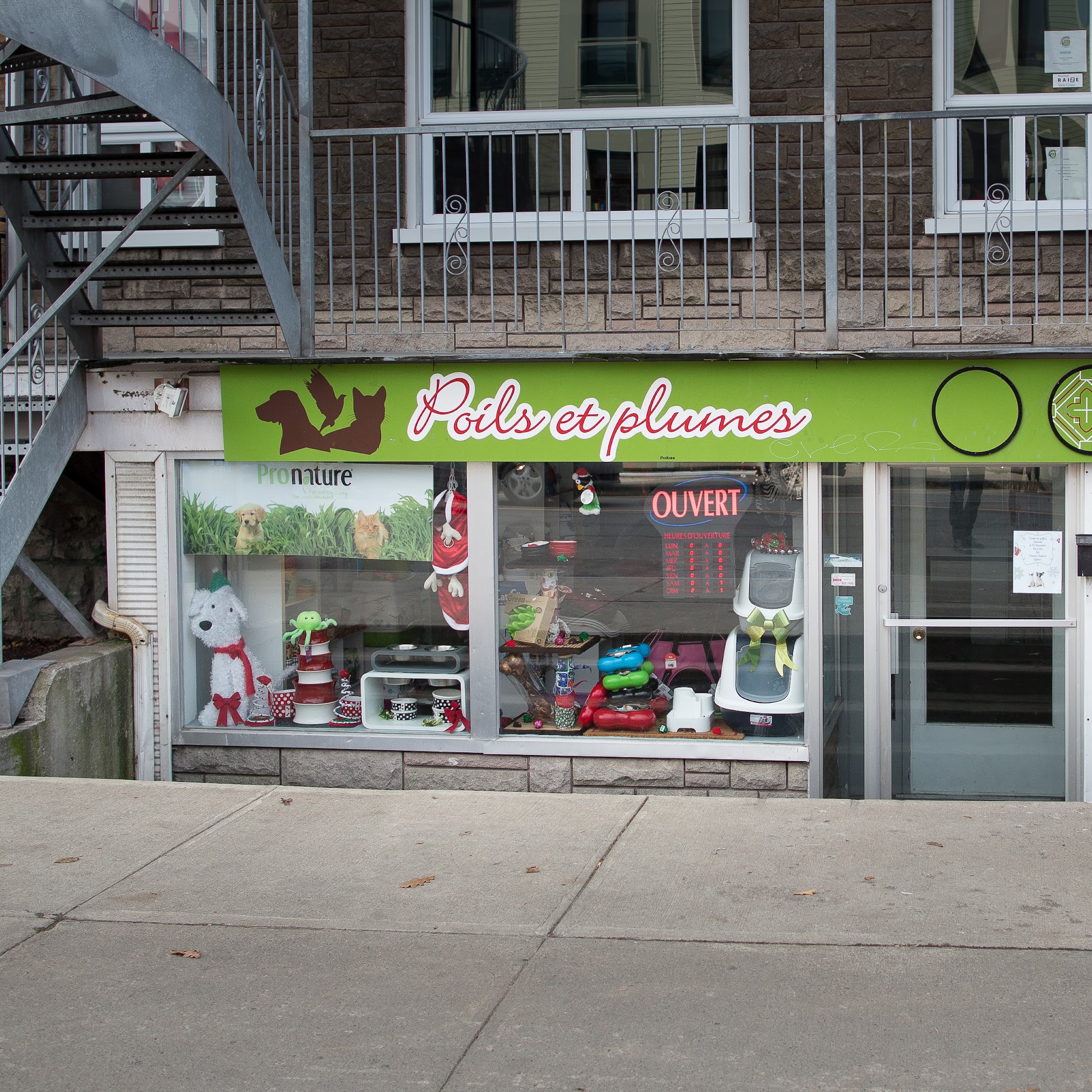 Poils et plumes Québec City