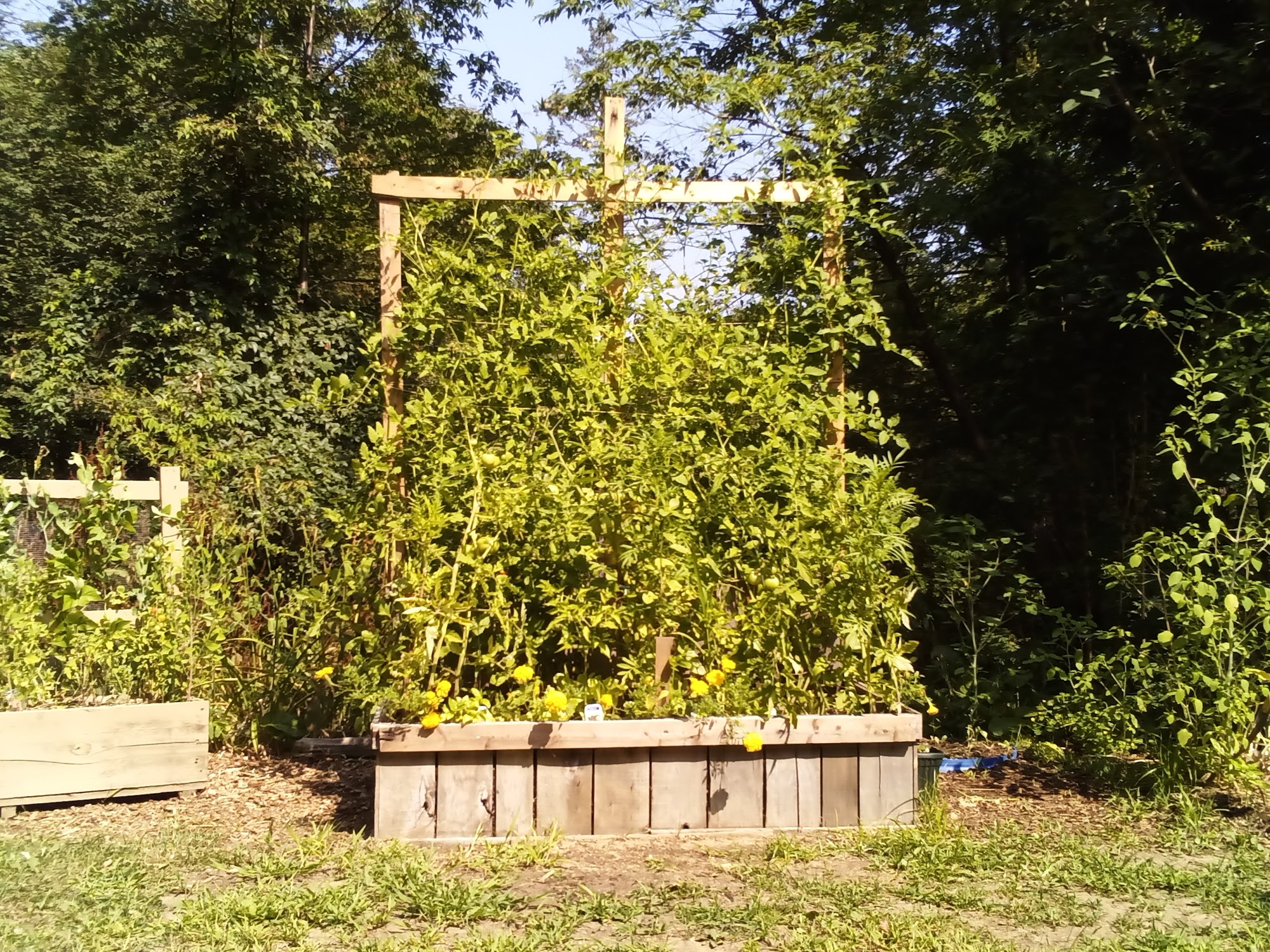 Delorme Garden Center Rawdon