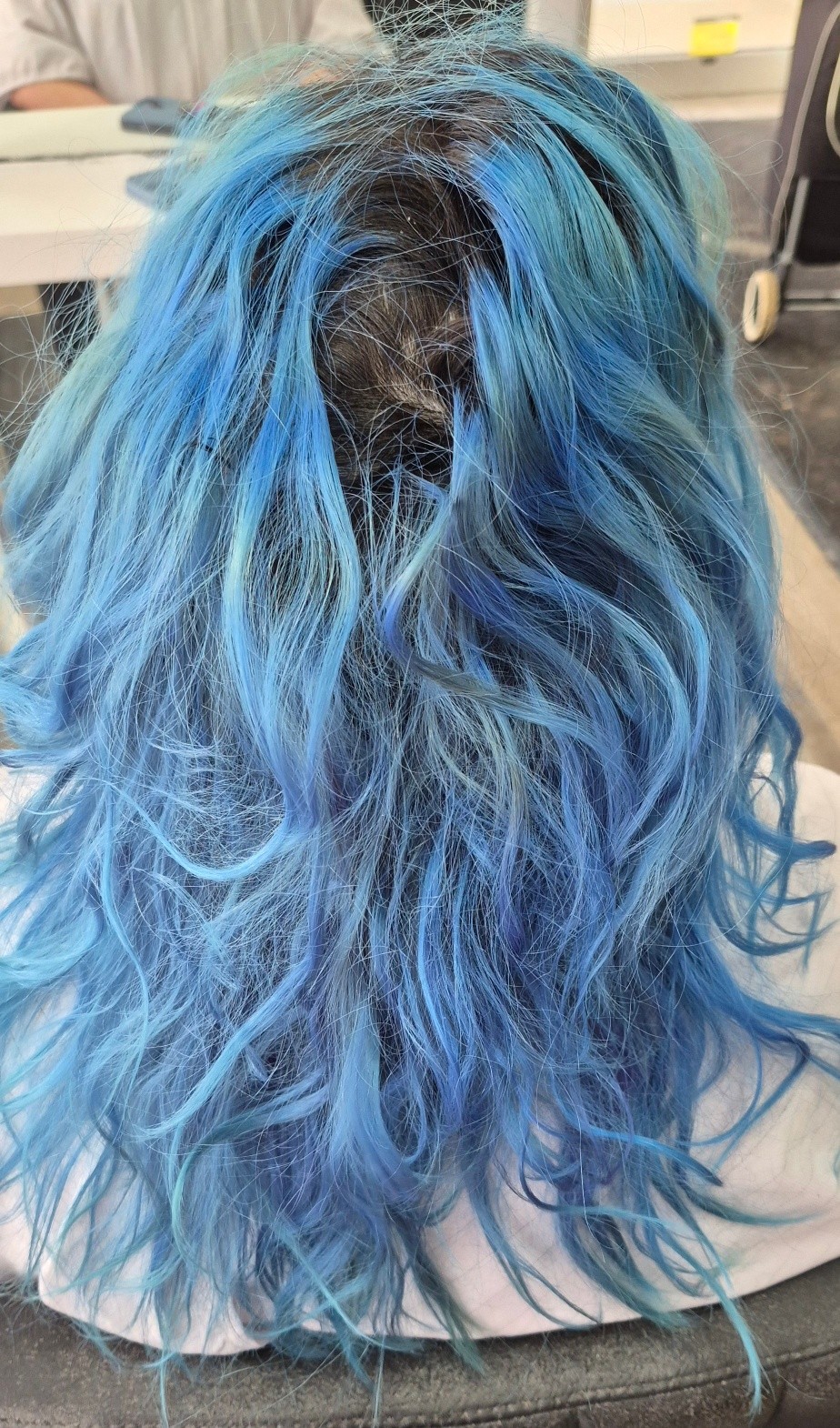 Pure Coiffure 2008