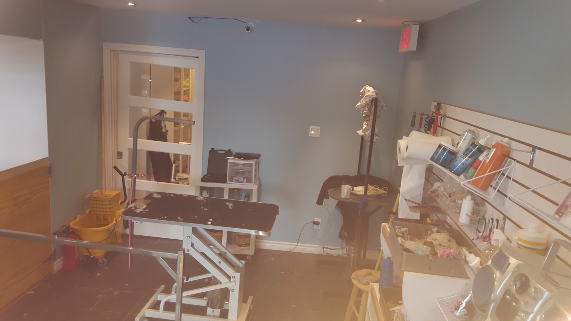 Animalerie Patte Mobile et Toilettage Patte D'Art Enr. Saint-Eustache